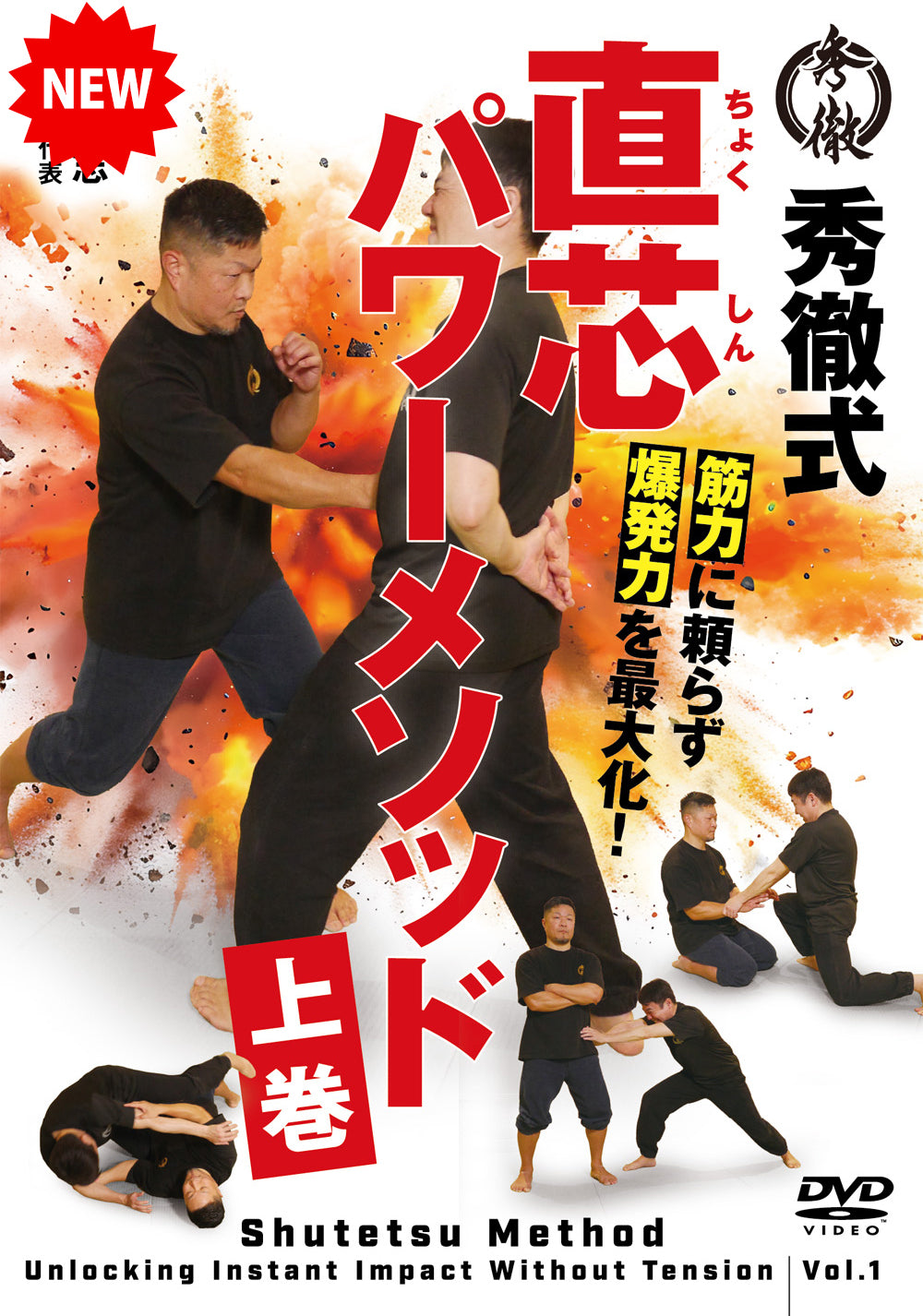 Shutetsu Method: Unlocking Impact Without Tension Vol 1 DVD by Masashi Fujiwara
