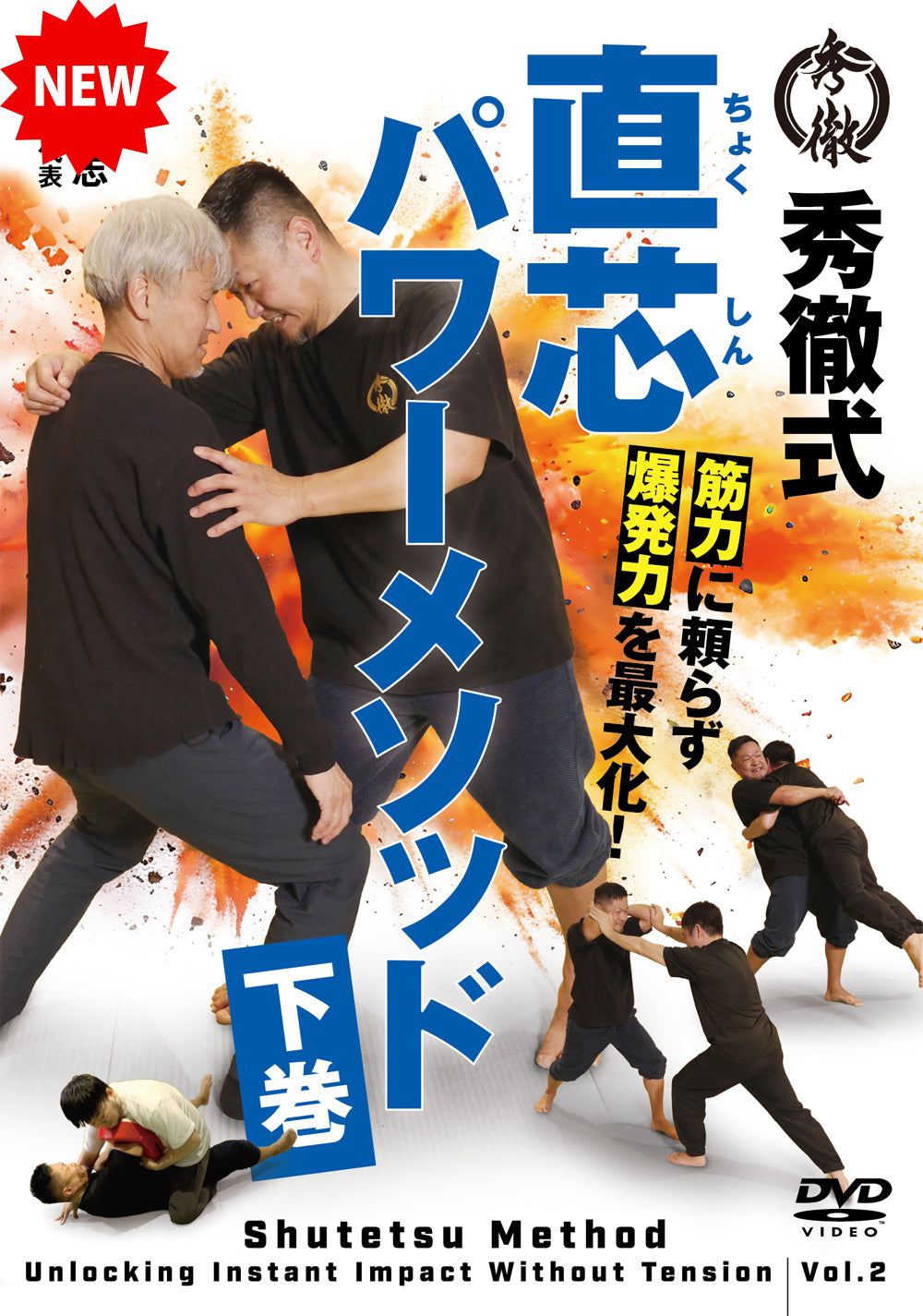Shutetsu Method: Unlocking Impact Without Tension Vol 2 DVD by Masashi Fujiwara