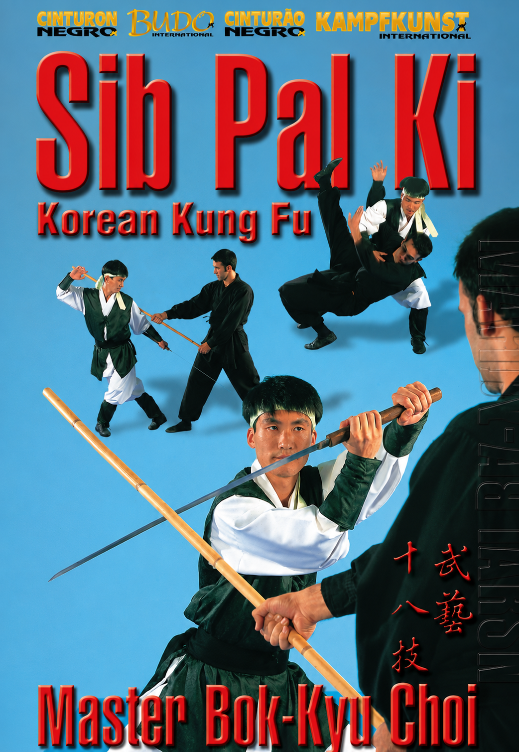 Sib Pal Ki Korean Kung Fu DVD by Choy Bok Kyu