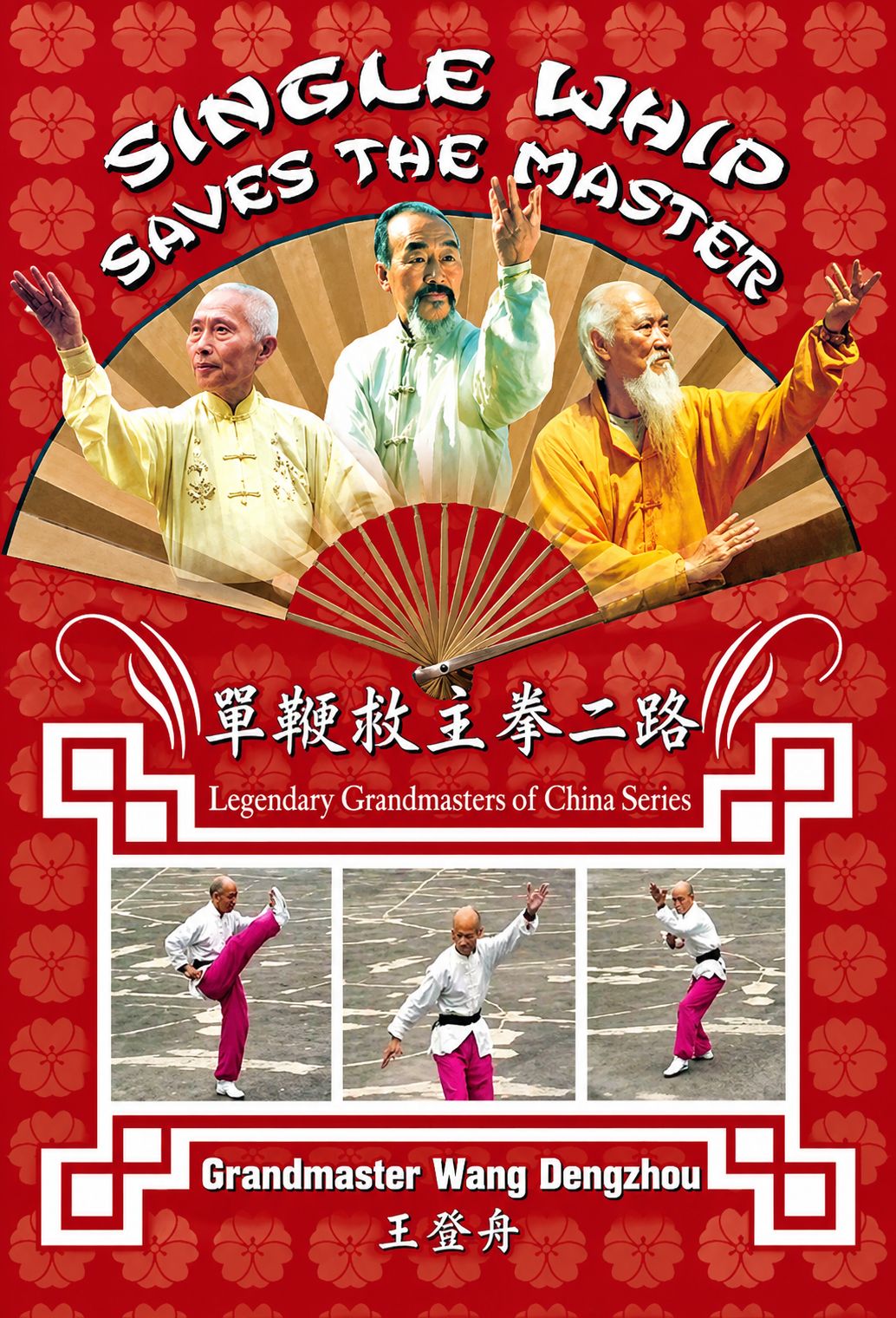 Single Whip Saves the Master DVD by Wang Dengzhou