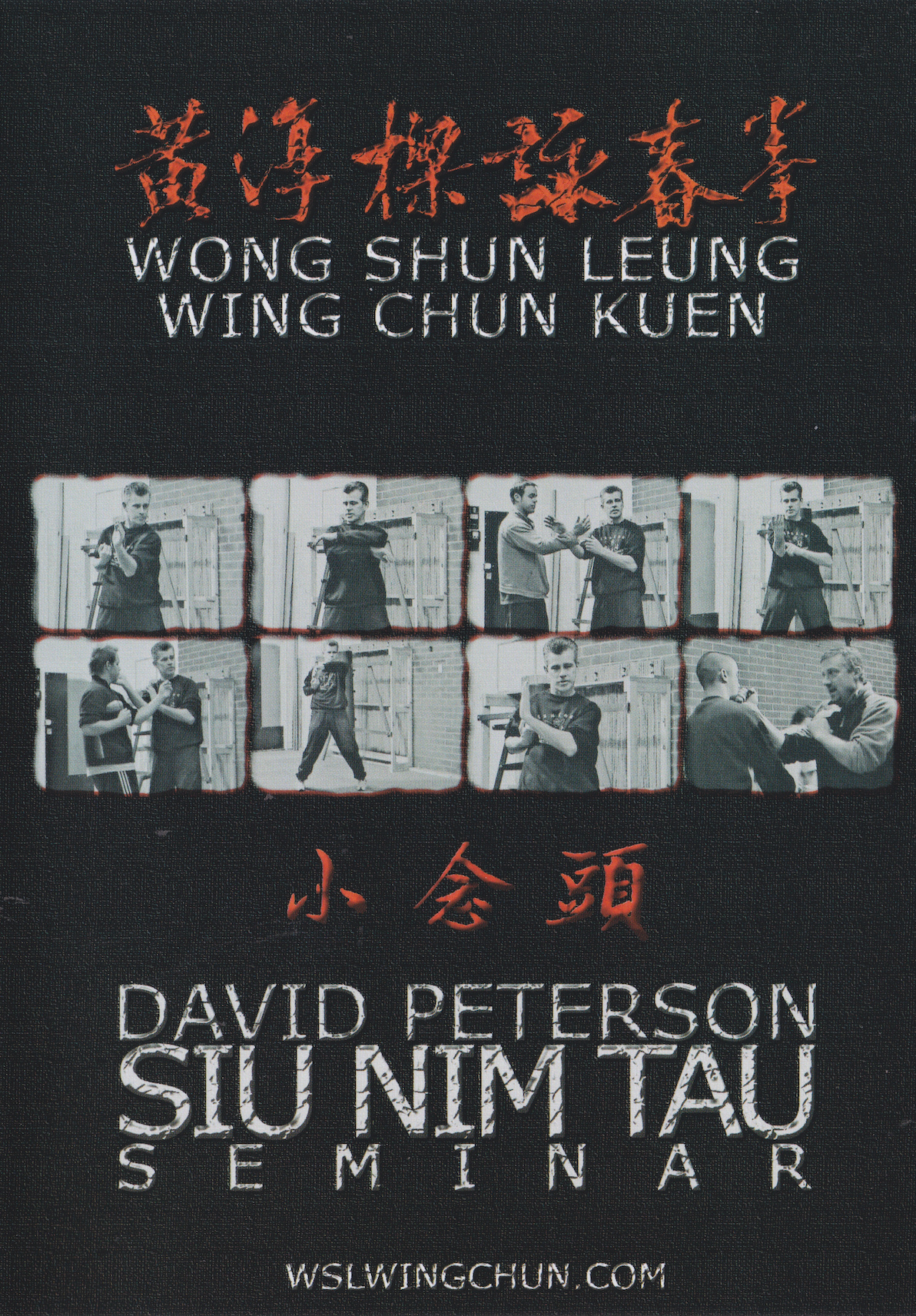Wong Shun Leung Wing Chun Kuen Siu Nim Tau Seminar 2 DVD Set by David Peterson