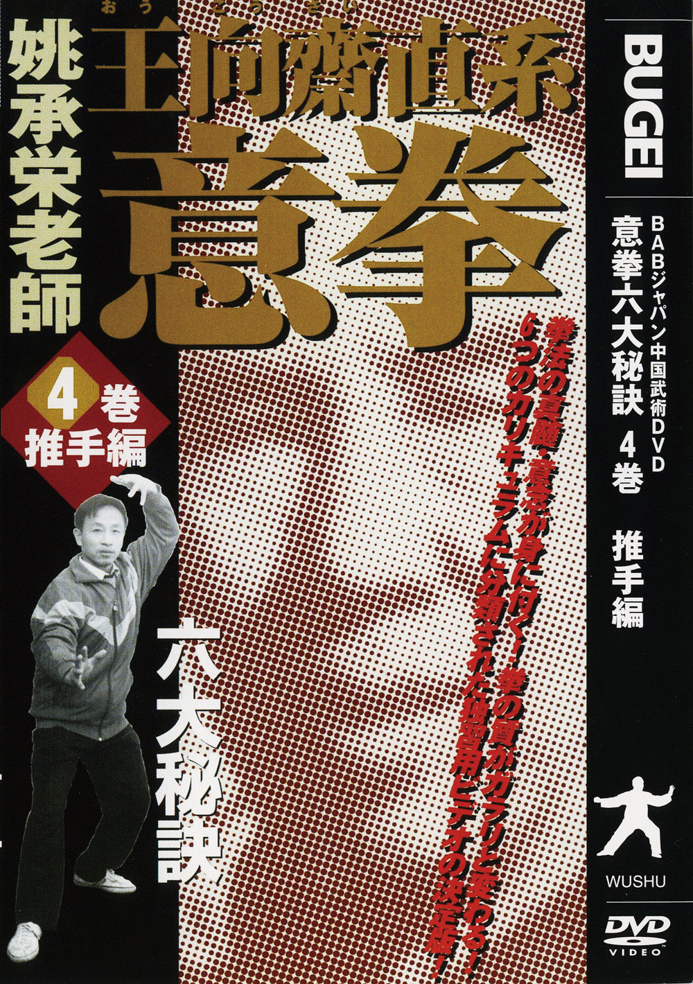 Six Great Secrets of Yiquan DVD 4 by Tao Shouei
