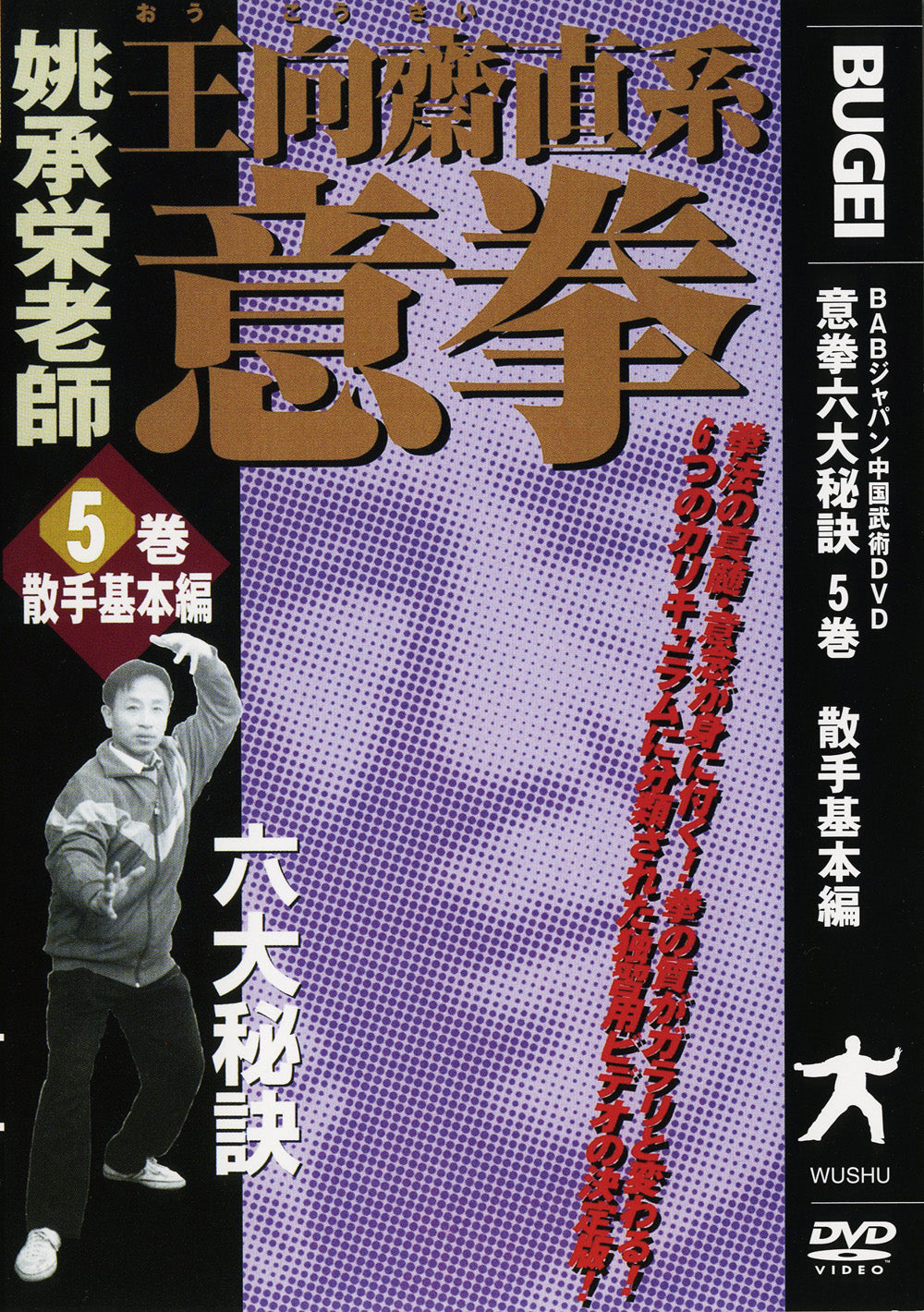 Six Great Secrets of Yiquan DVD 5 by Tao Shouei