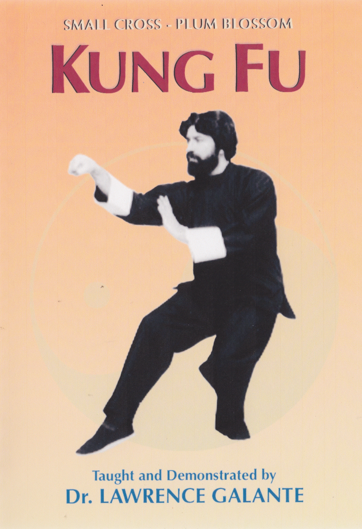 Small Cross Plum Blossom Kung Fu DVD by Lawrence Galante (Preowned)