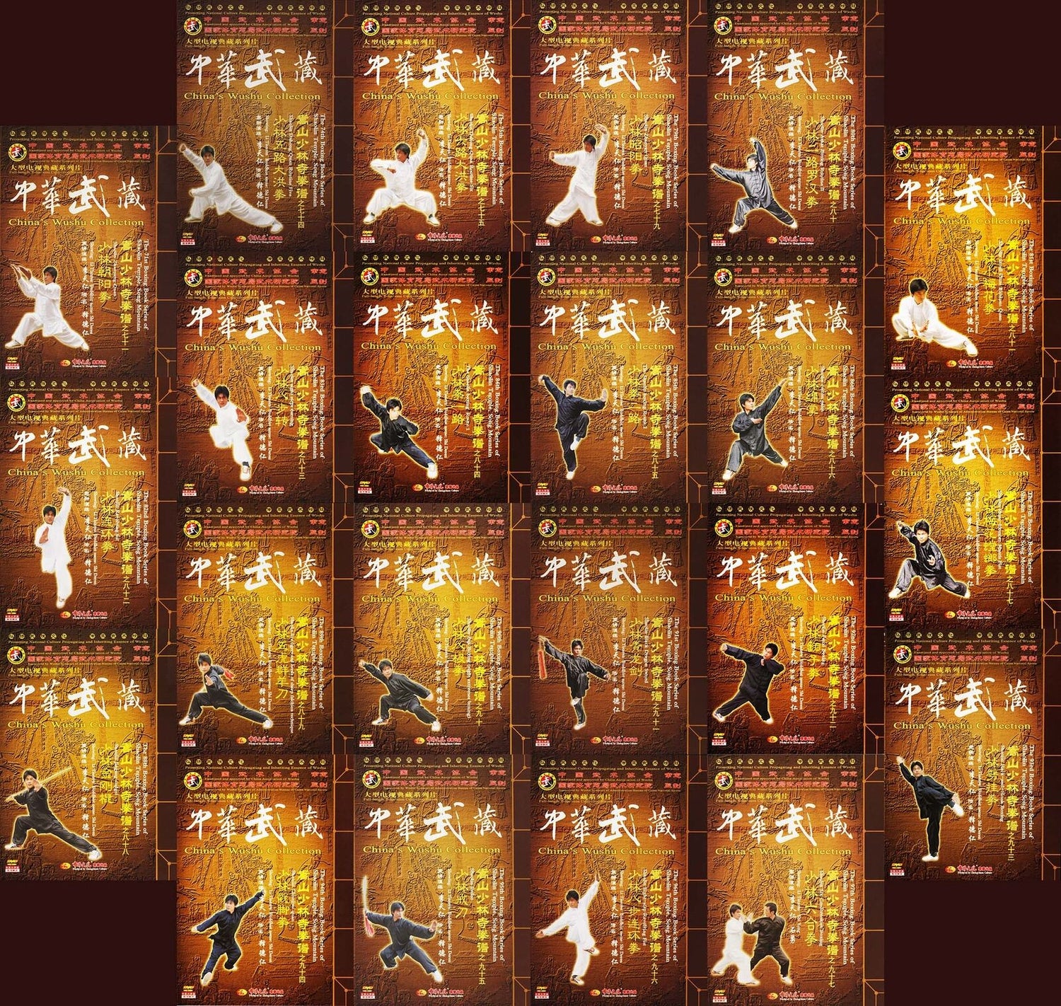 Songshan Shaolin Martial Arts Kung Fu 33 DVD Set by Shi Deren