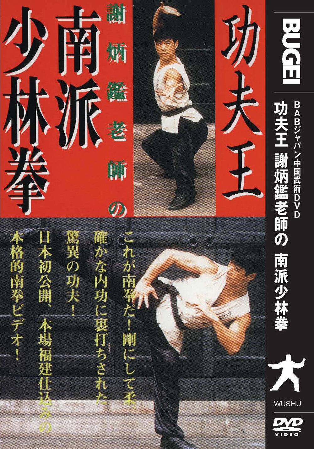 Southern Shaolin Kung Fu DVD by Xie Bingjian