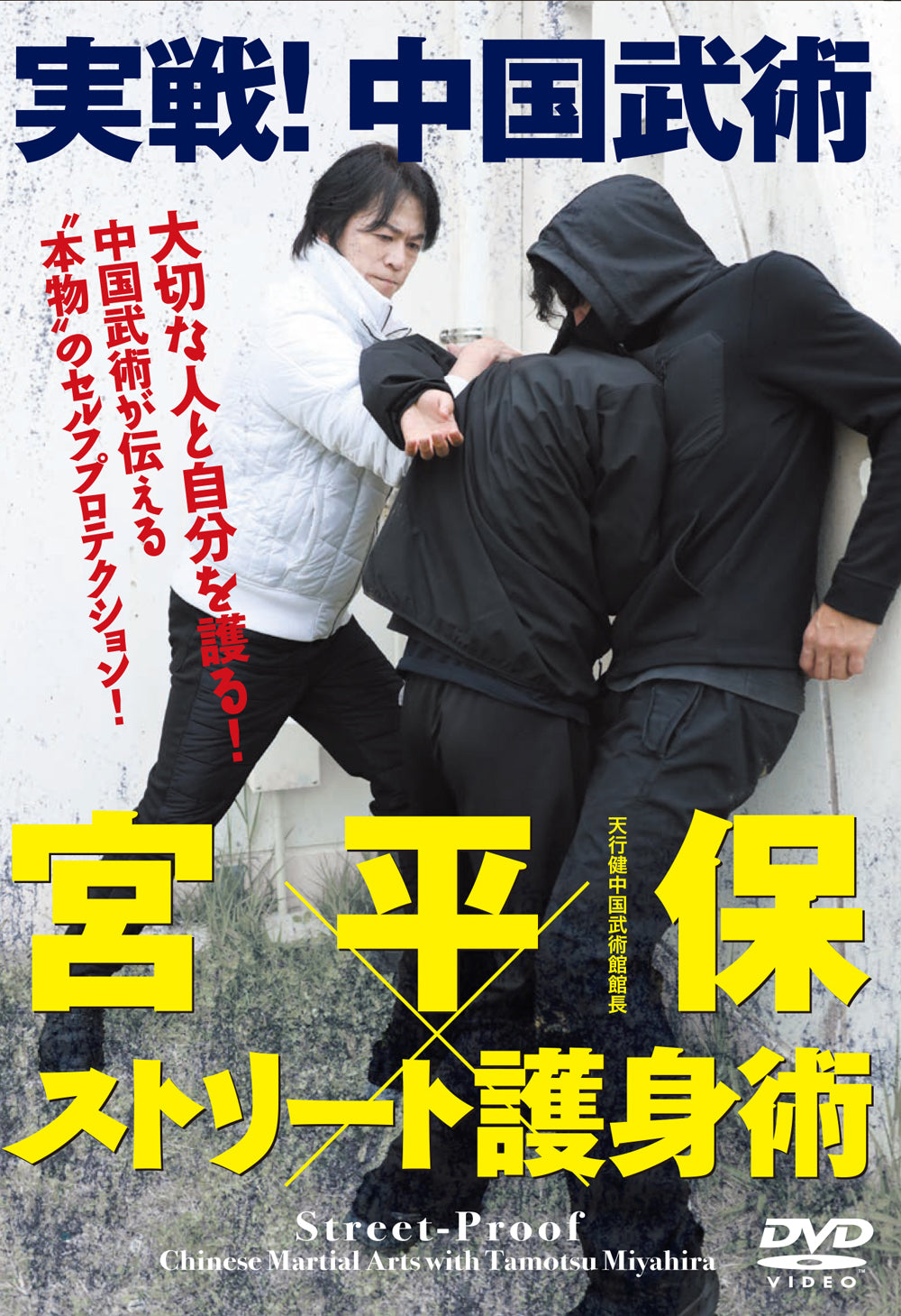 Street Proof: Chinese Martial Arts DVD with Tamotsu Miyahira