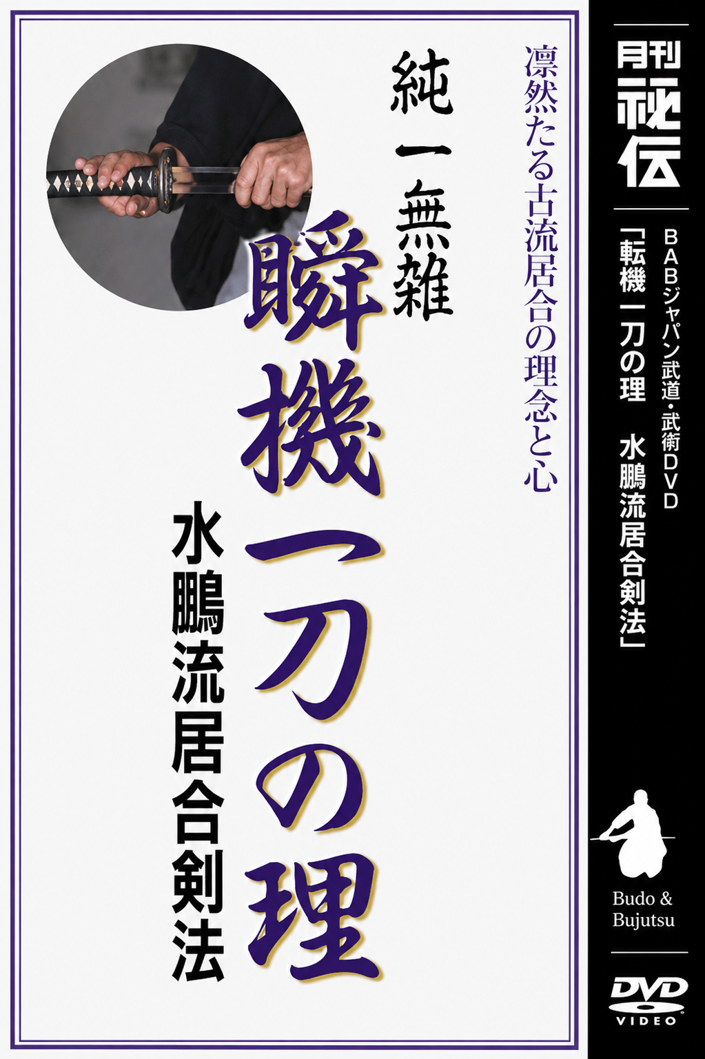 Suio Ryu Iai Kenpo DVD by Katsuse Yoshimitsu