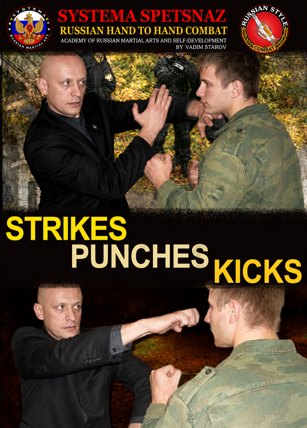 Systema Spetsnaz DVD #4 - Strikes - Punches - Kicks by Vadim Starov