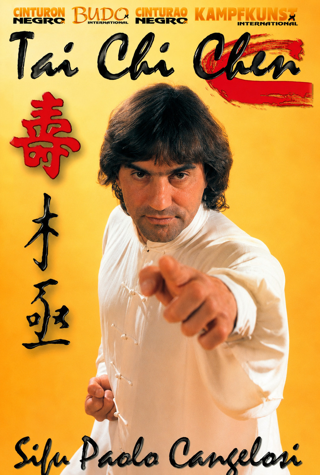 Tai Chi Chen Xia Jia Pao Chuie Form DVD with Paulo Cangelosi