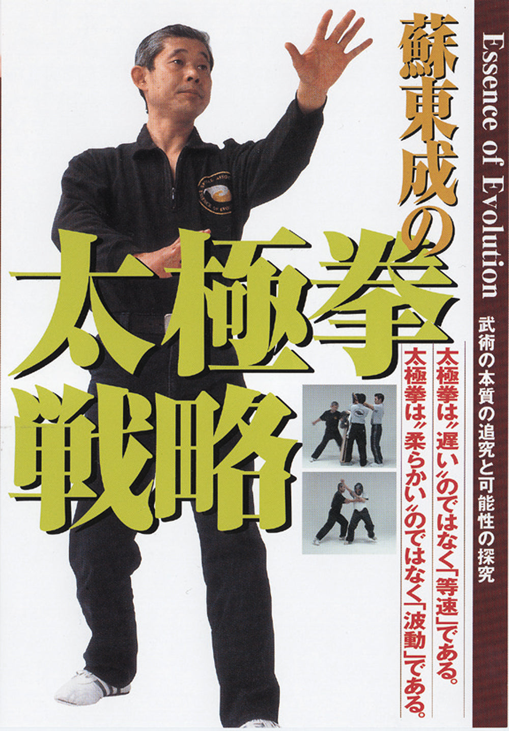 Tai Chi Strategy DVD by Su Dongcheng
