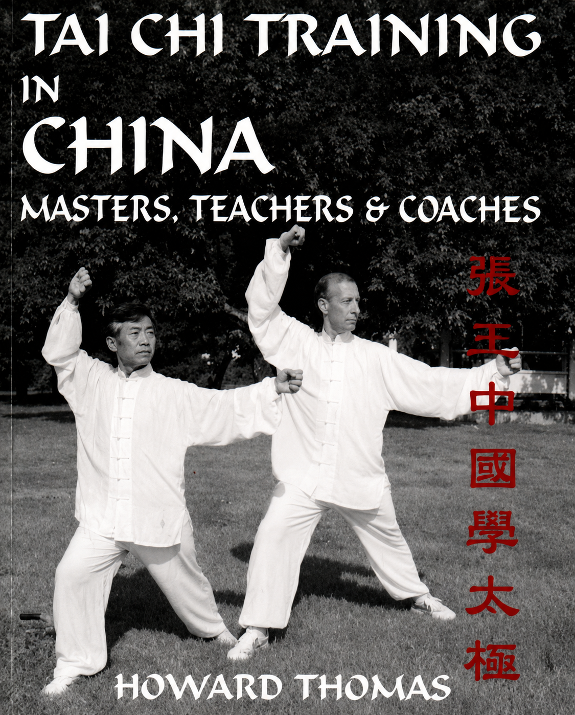 Tai Chi Training China Book by Howard Thomas