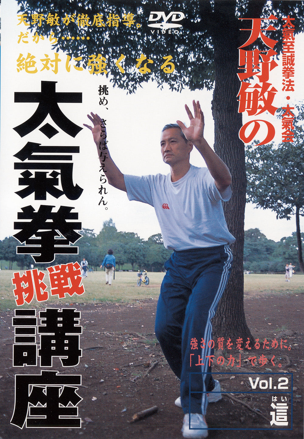 Taikiken Challenge Seminar DVD 2 by Satoshi Amano