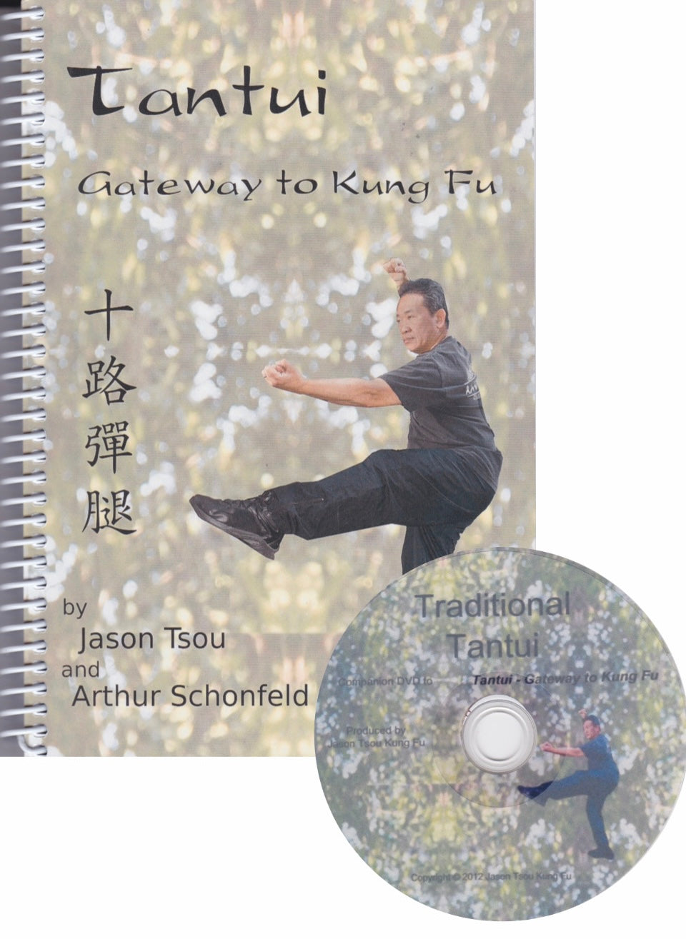 Tan Tui: Gateway to Kung Fu Book & DVD by Jason Tsou