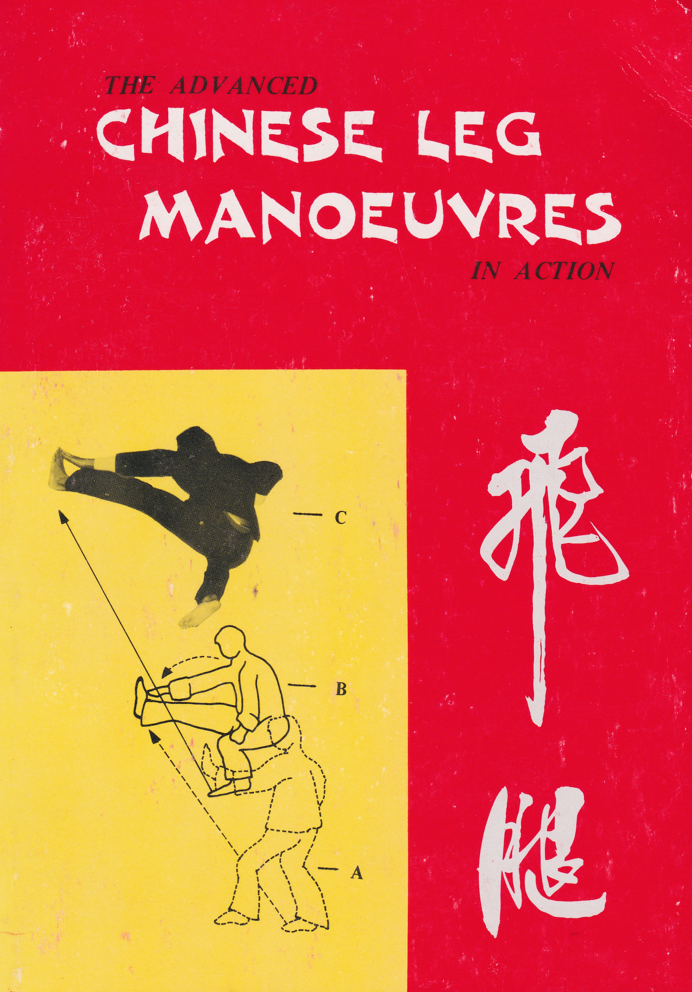 The Advanced Chinese Leg Manoeuvres in Action Book by HC Chao