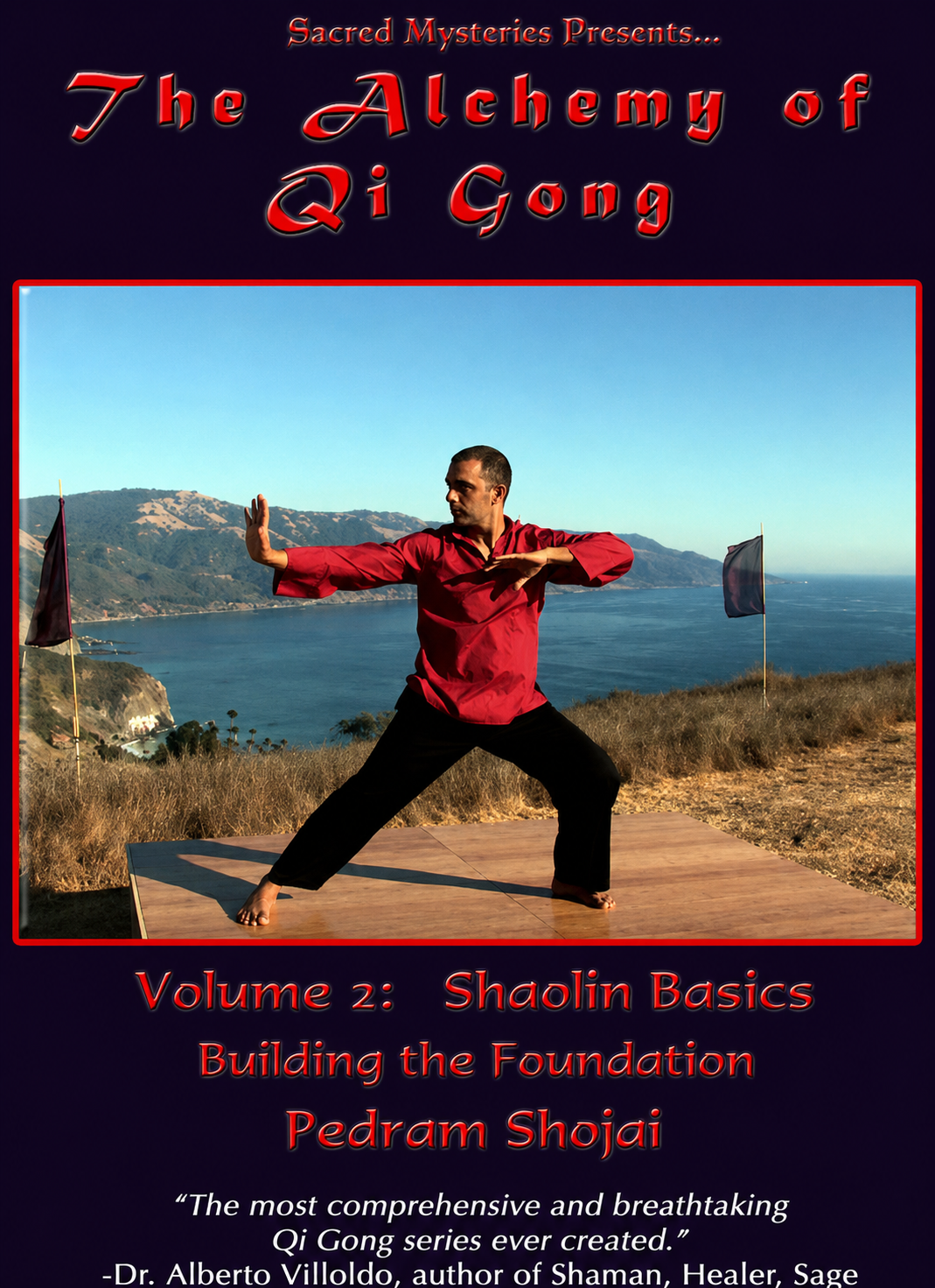 La alquimia del Qigong con Pedram Shojai DVD 2 Construyendo los cimientos (usado)