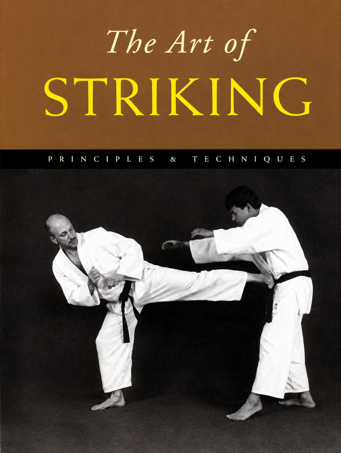The Art of Striking: Principles & Techniques Book by Marc Tedeschi (Hardcover) (Preowned)