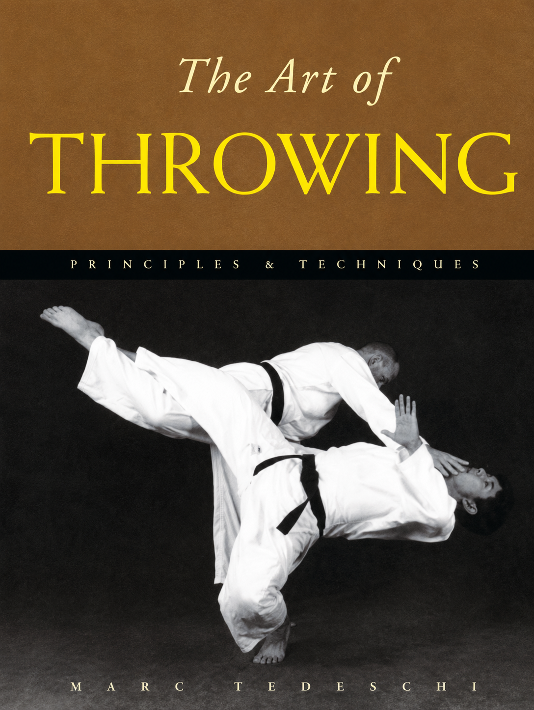 The Art of Throwing: Principles & Techniques Book by Marc Tedeschi (Hardcover) (Preowned)