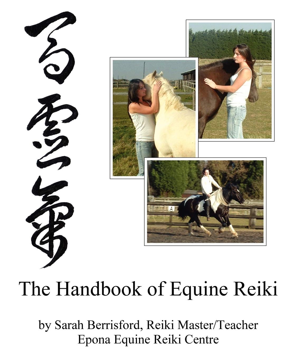 The Equine Reiki Handbook: Animal Reiki for Horses Book by Sarah Berrisford (Preowned)