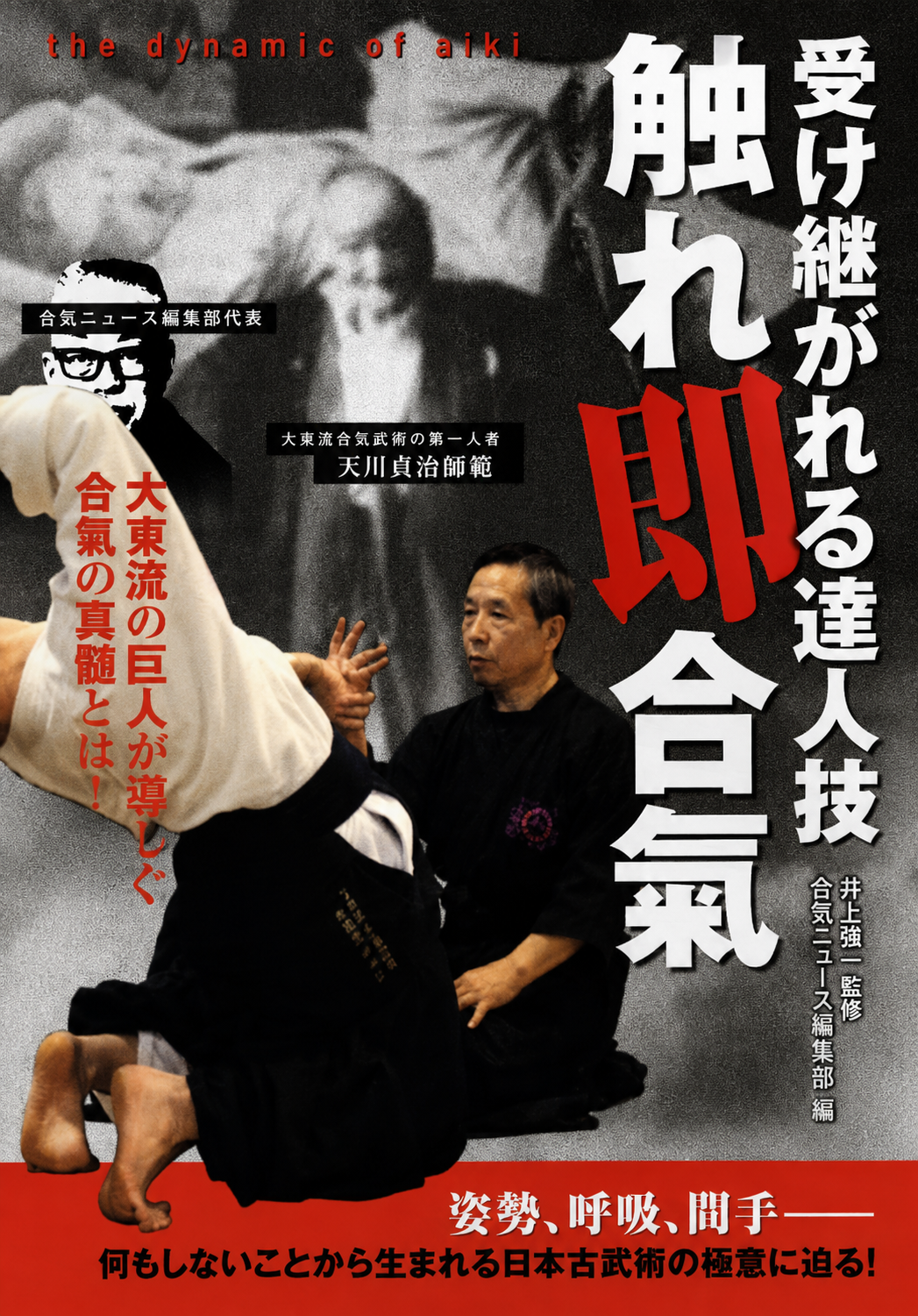 The Essence of Aiki DVD with Hiro Iida