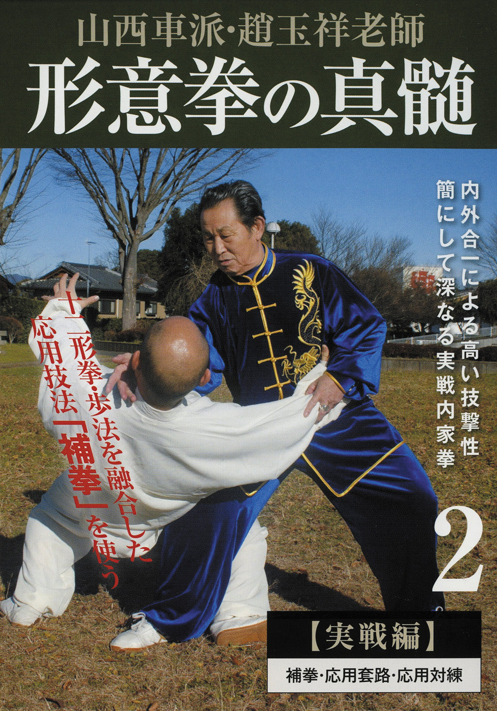 The Essence of Xingyiquan DVD 2 by Zhao Yuxiang
