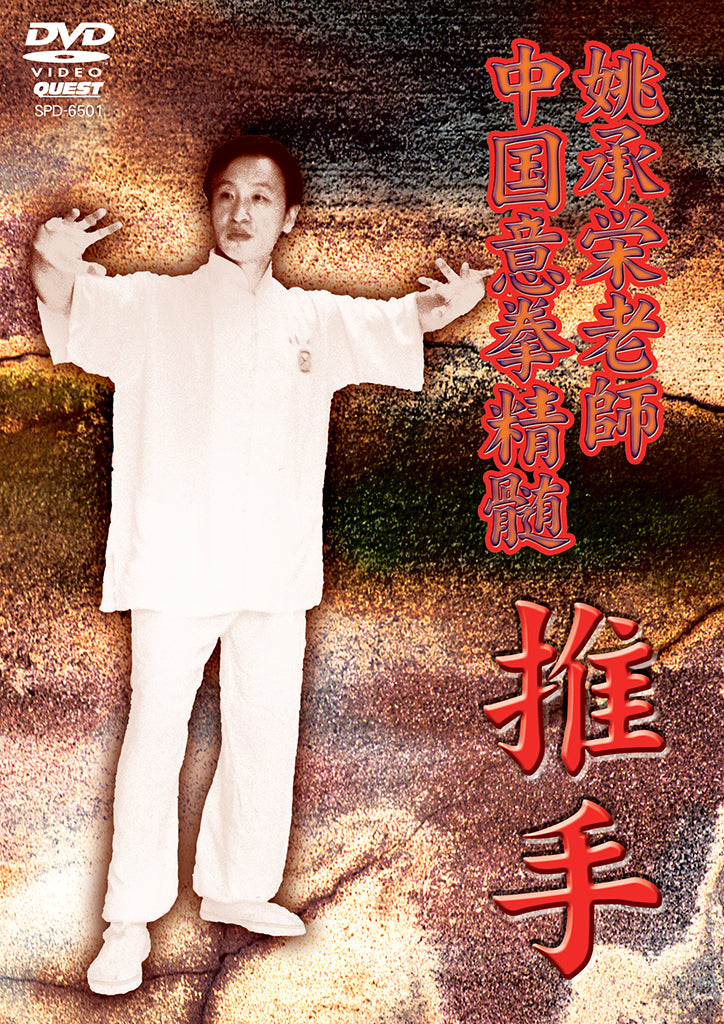 The Essence of Yiquan DVD 1 by Yao Chengyong (Region 2 DVD)
