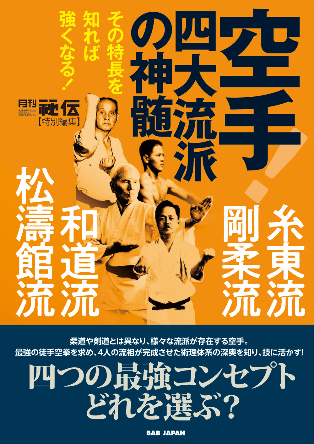 The Essence of the Four Major Karate Schools Book