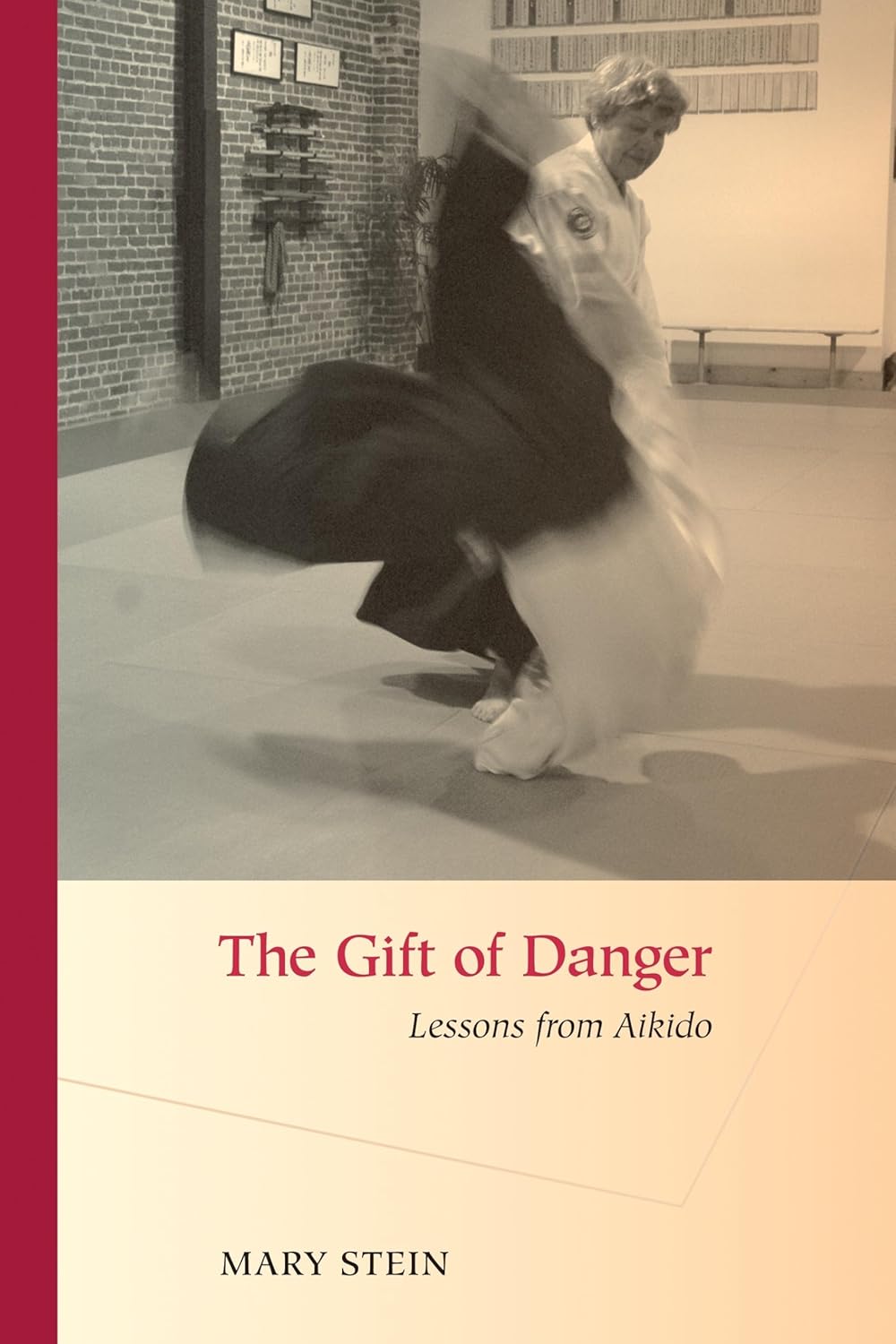 The Gift of Danger: Lessons from Aikido Book by Mary Stein