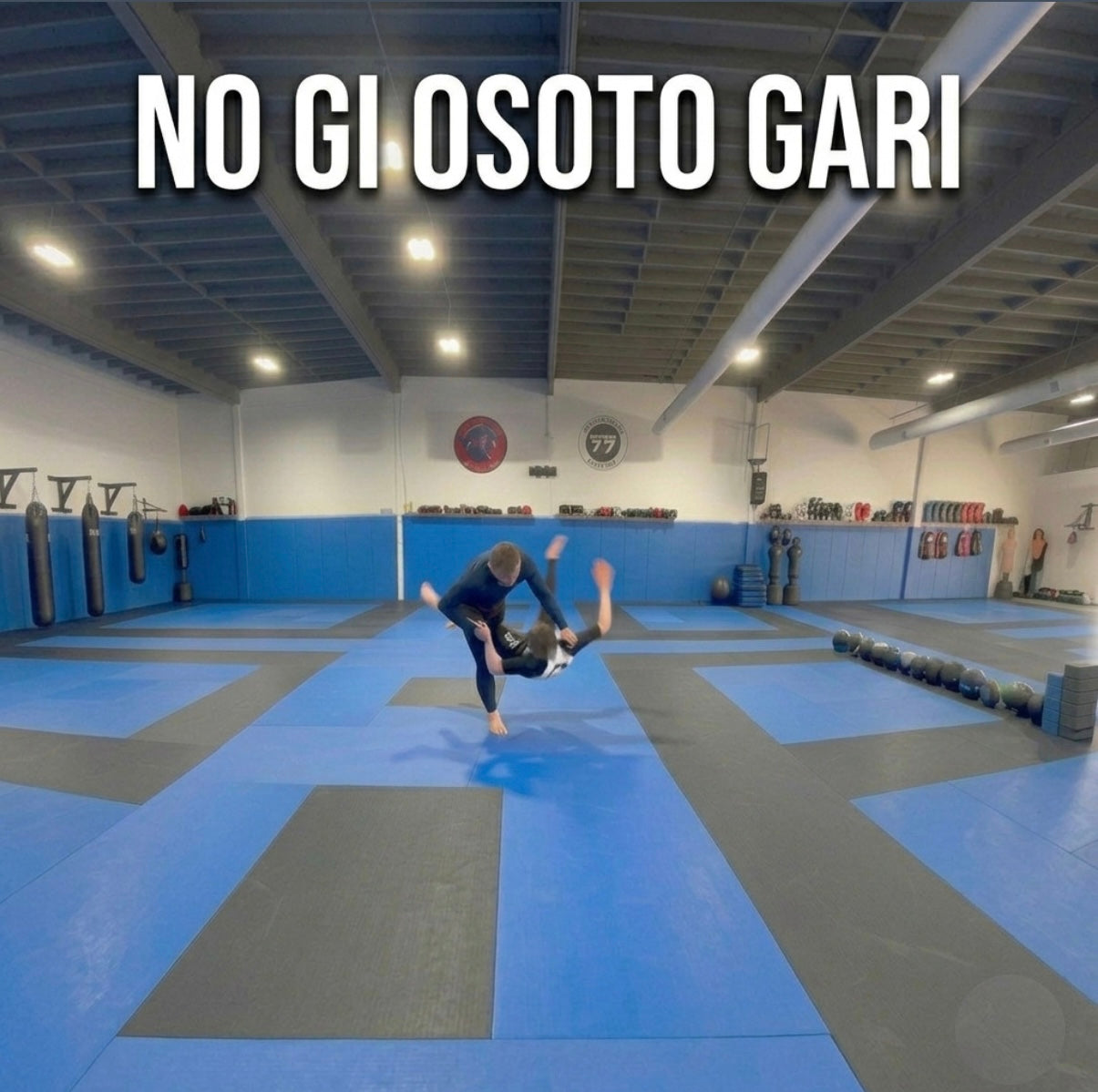 The No Gi Osoto Gari by Vladislav Koulikov (On Demand)