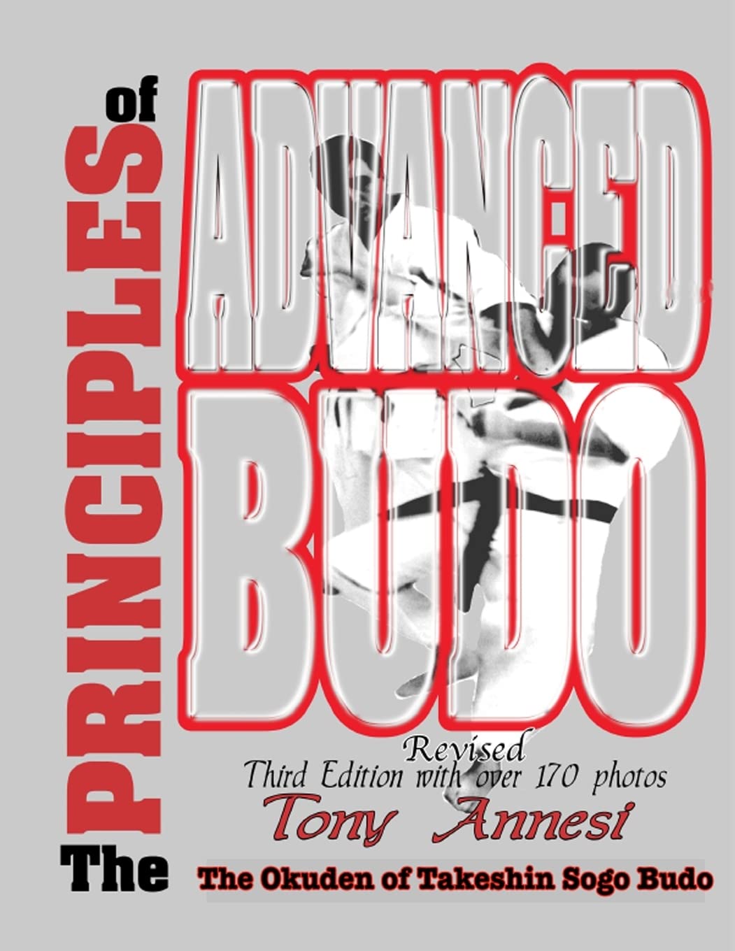 The Principles of Advanced Budo: The Okuden of Takeshin Sogo Budo Book by Tony Annesi