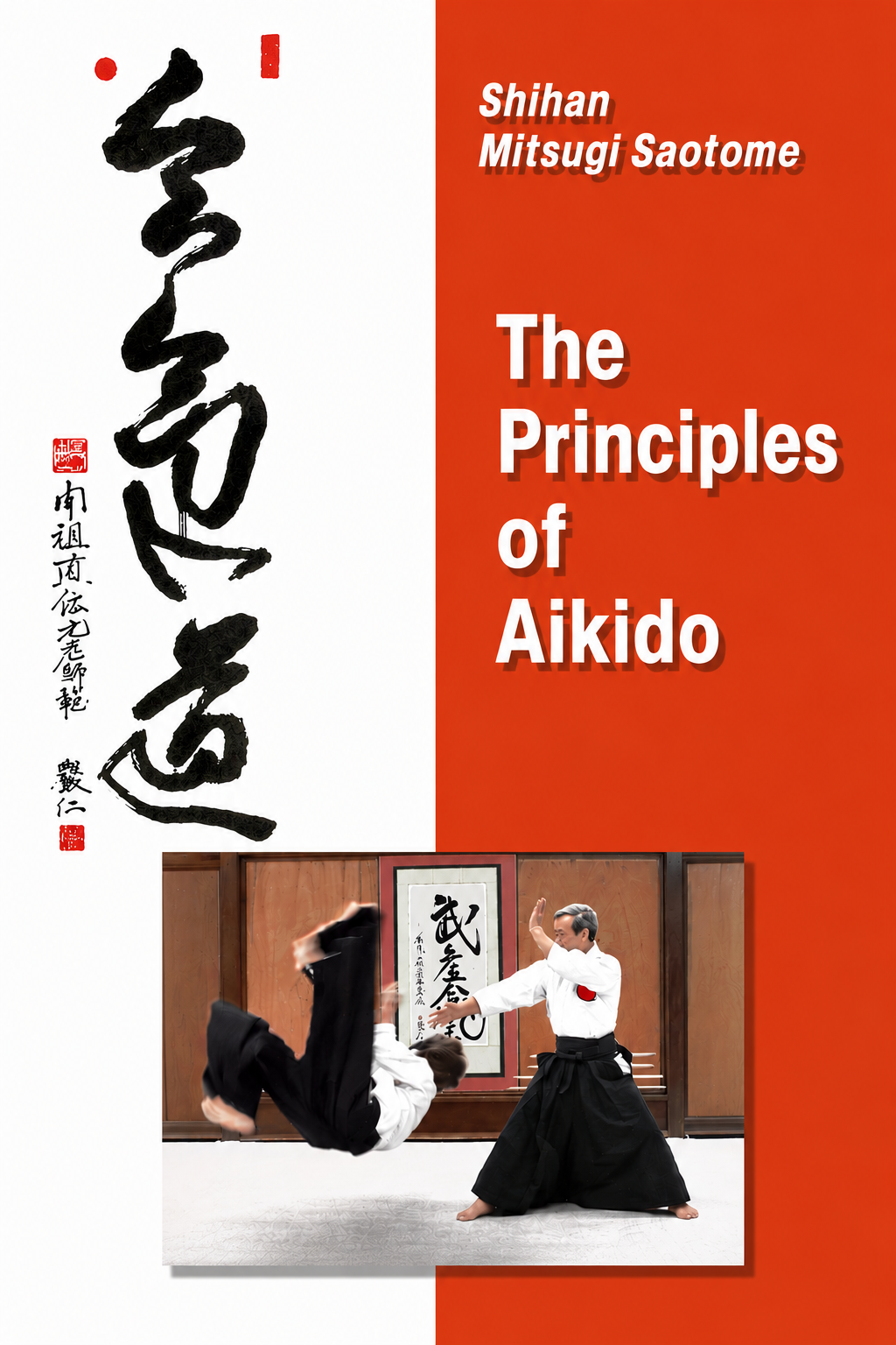 The Principles of Aikido DVD by Mitsugi Saotome
