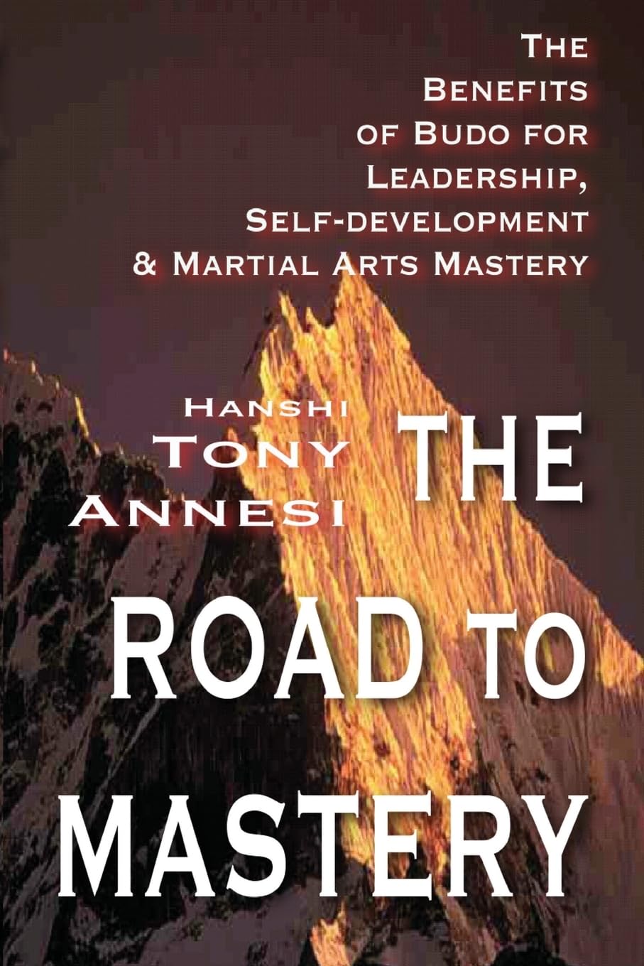 The Road to Mastery: The Benefits of Budo Book by Tony Annesi