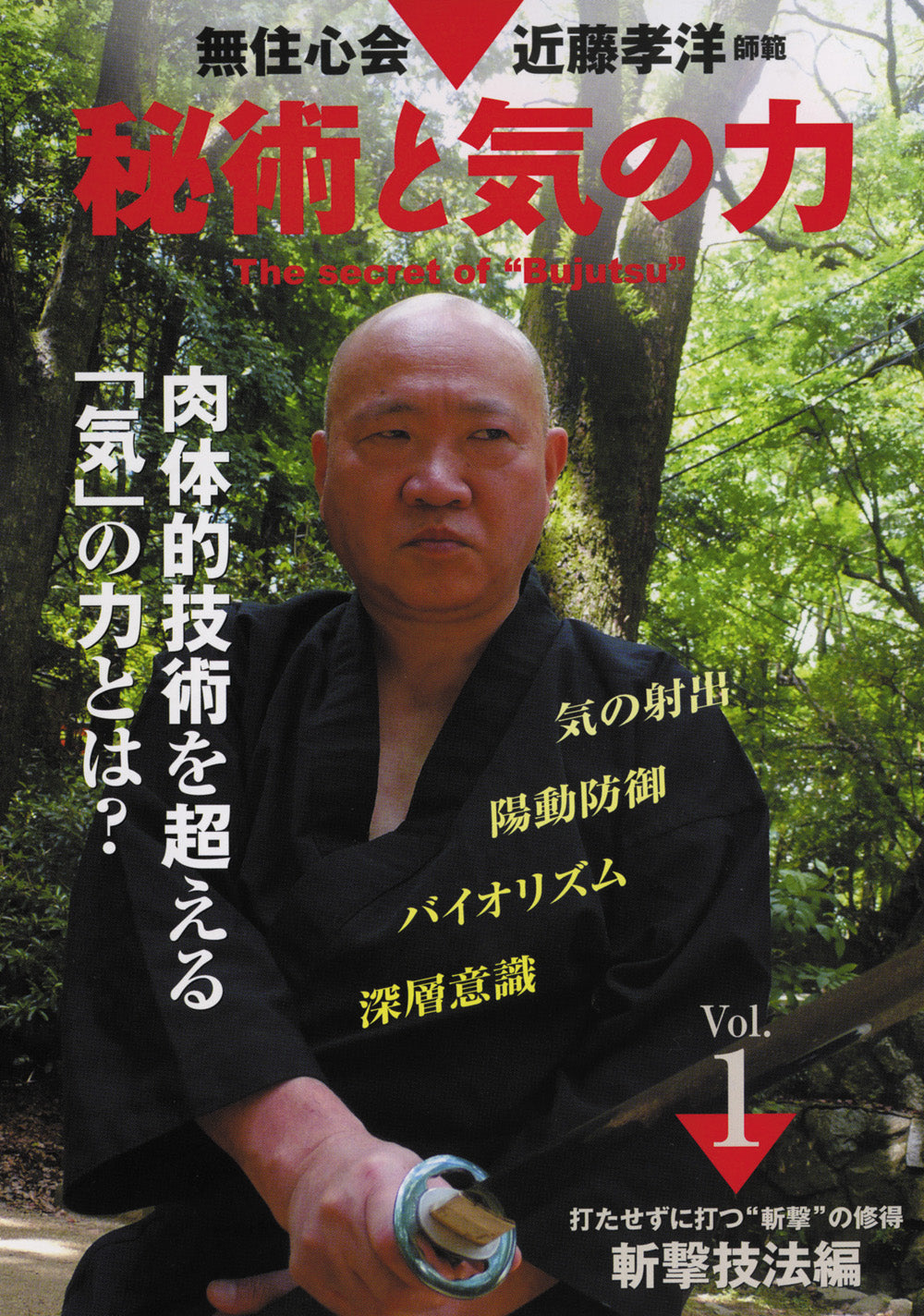 The Secret of Bujutsu DVD 1 by Takahiro Kondo