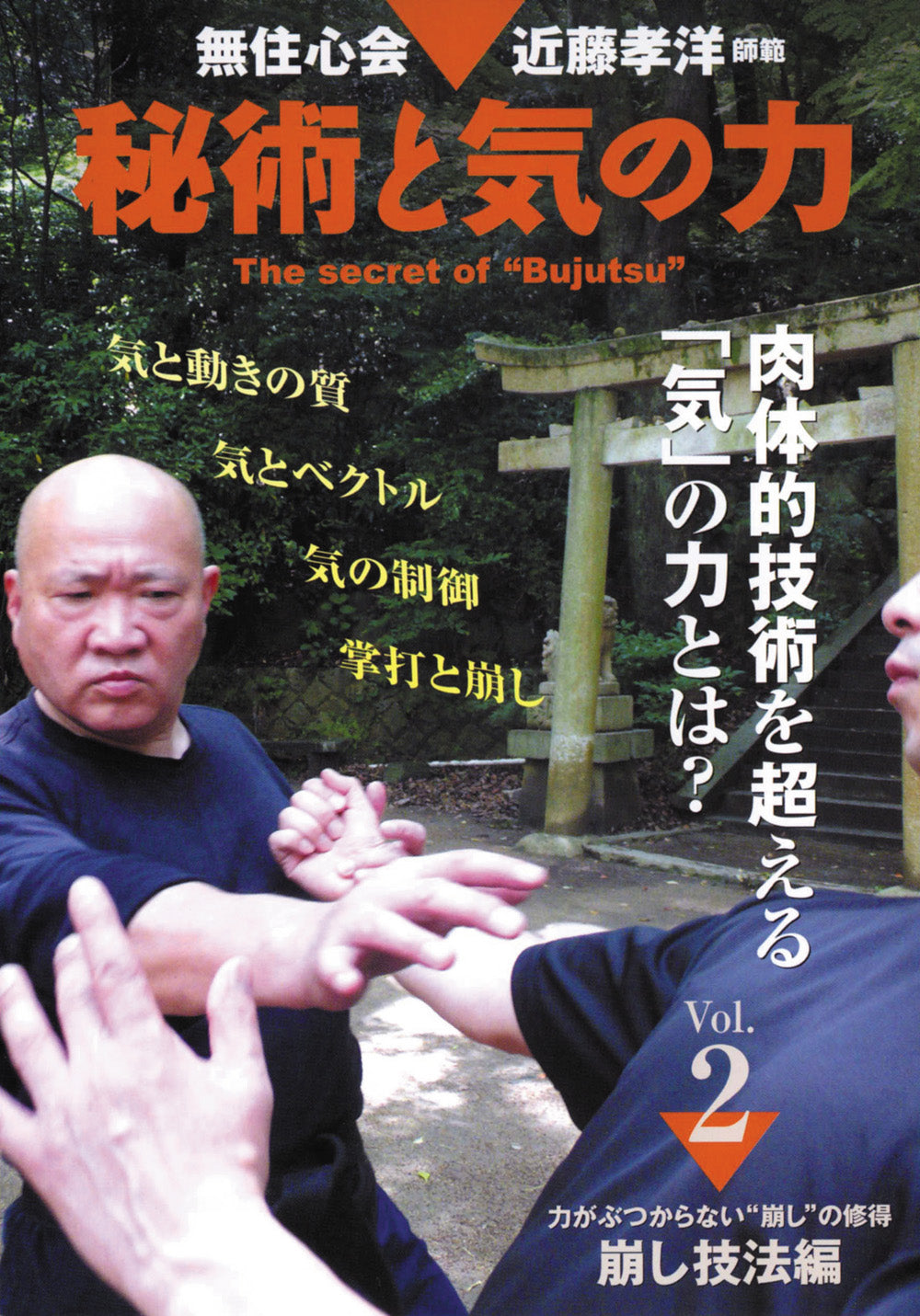 The Secret of Bujutsu DVD 2 by Takahiro Kondo