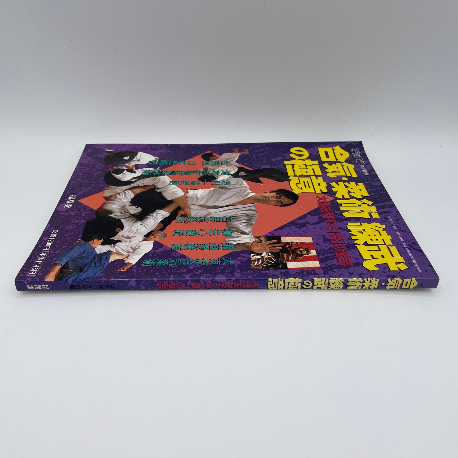 柔術の極意・合気柔術トレーニングブック (中古)