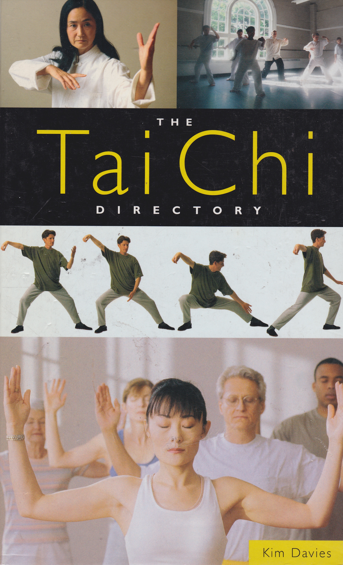 The Tai Chi Directory Book by Kim Davies (Preowned)