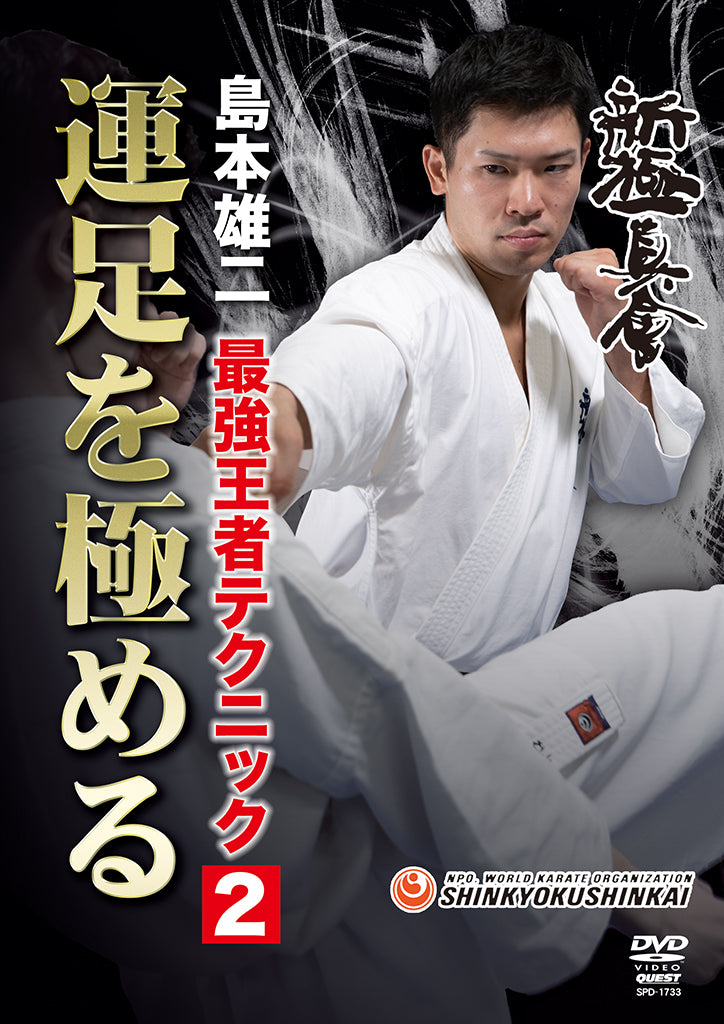 The Ultimate Champion Technique: Mastering Footwork DVD by Yuji Shimamoto