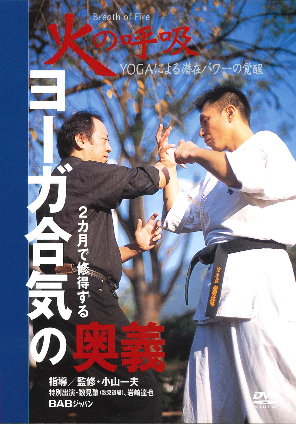The Ultimate Secrets of Yoga Aiki DVD by Kazuo Koyama