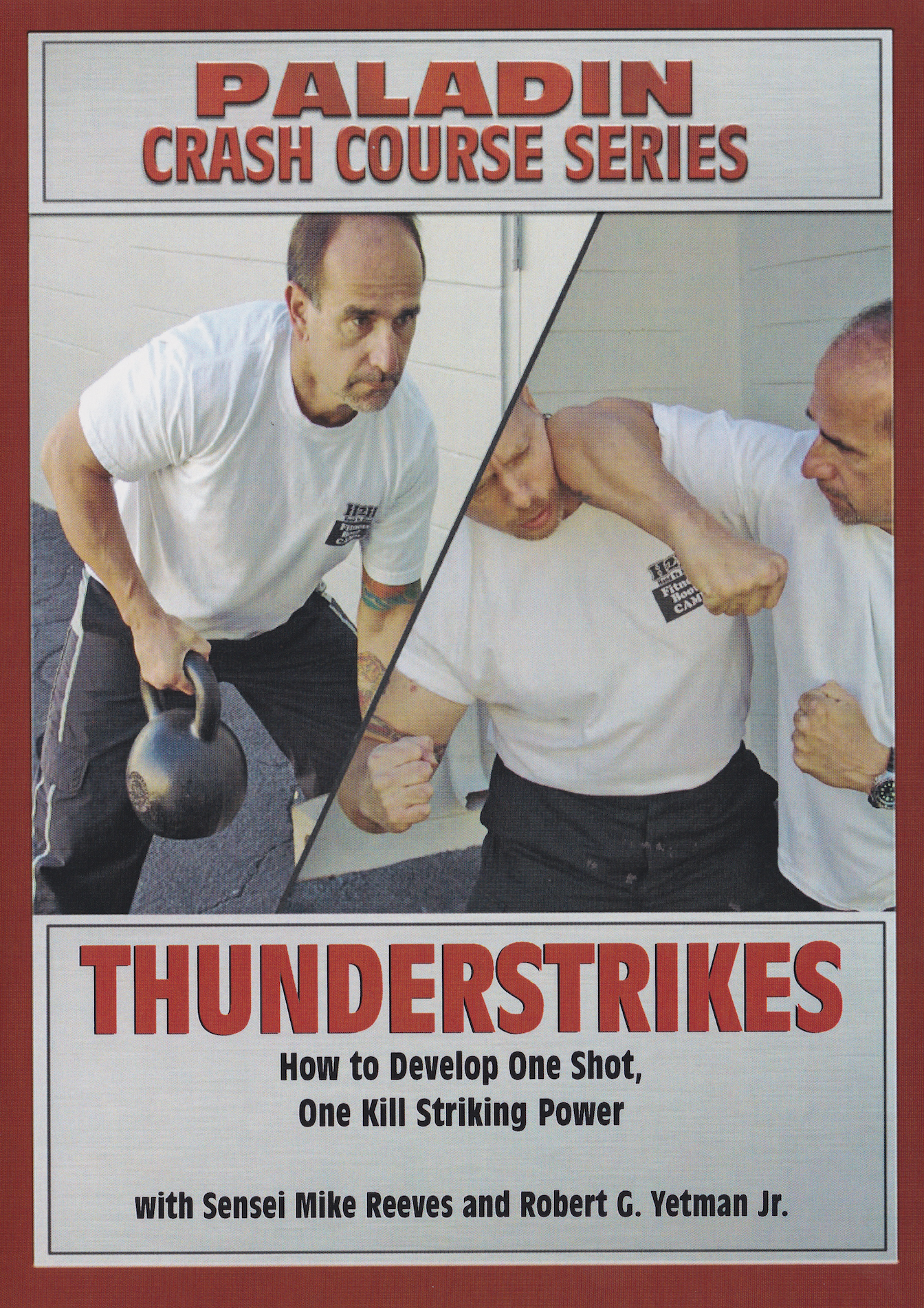 Thunderstrikes: How to Develop One Shot, One Kill Striking Power DVD by Mike Reeves & Robert Yetman Jr