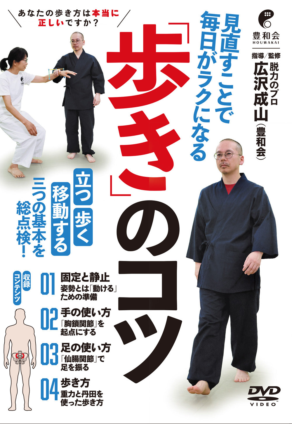 Tips for Walking DVD by Seizan Hirosawa