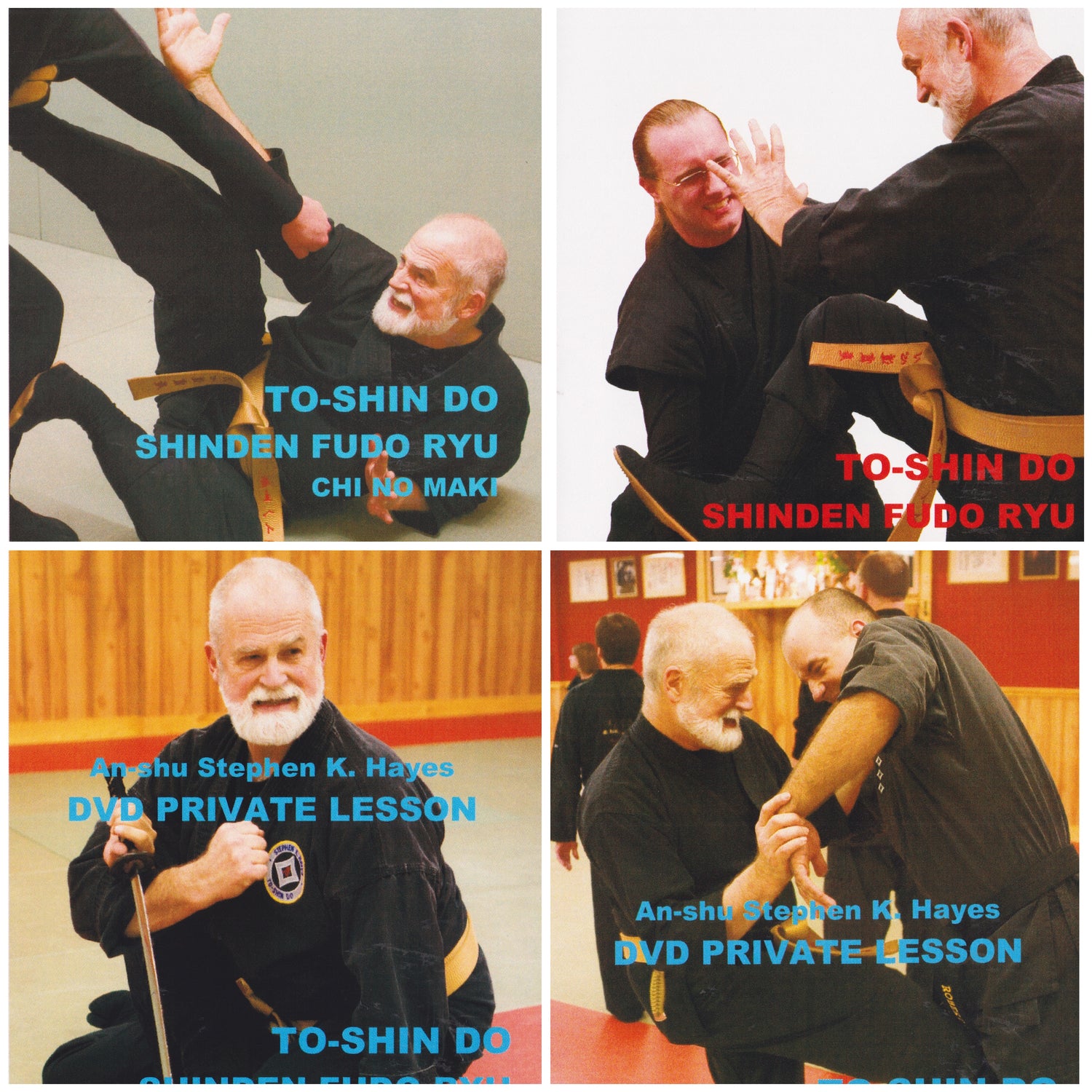 To-Shin Do Shinden Fudo Ryu Chi no Maki 4 DVD Set with Stephen Hayes