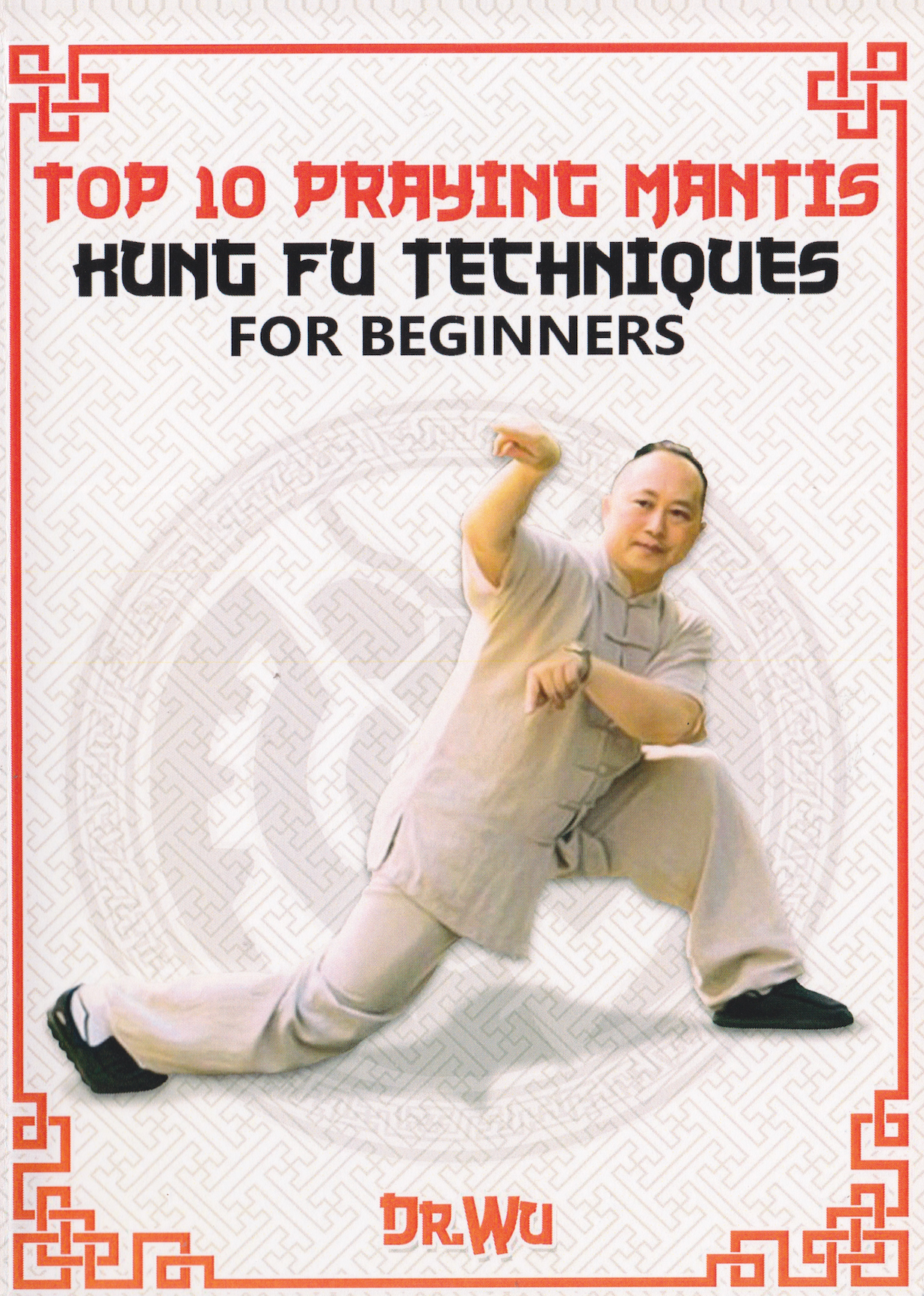 Top 10 Praying Mantis Kung Fu Techniques for Beginners DVD by Dr Wu (Preowned)