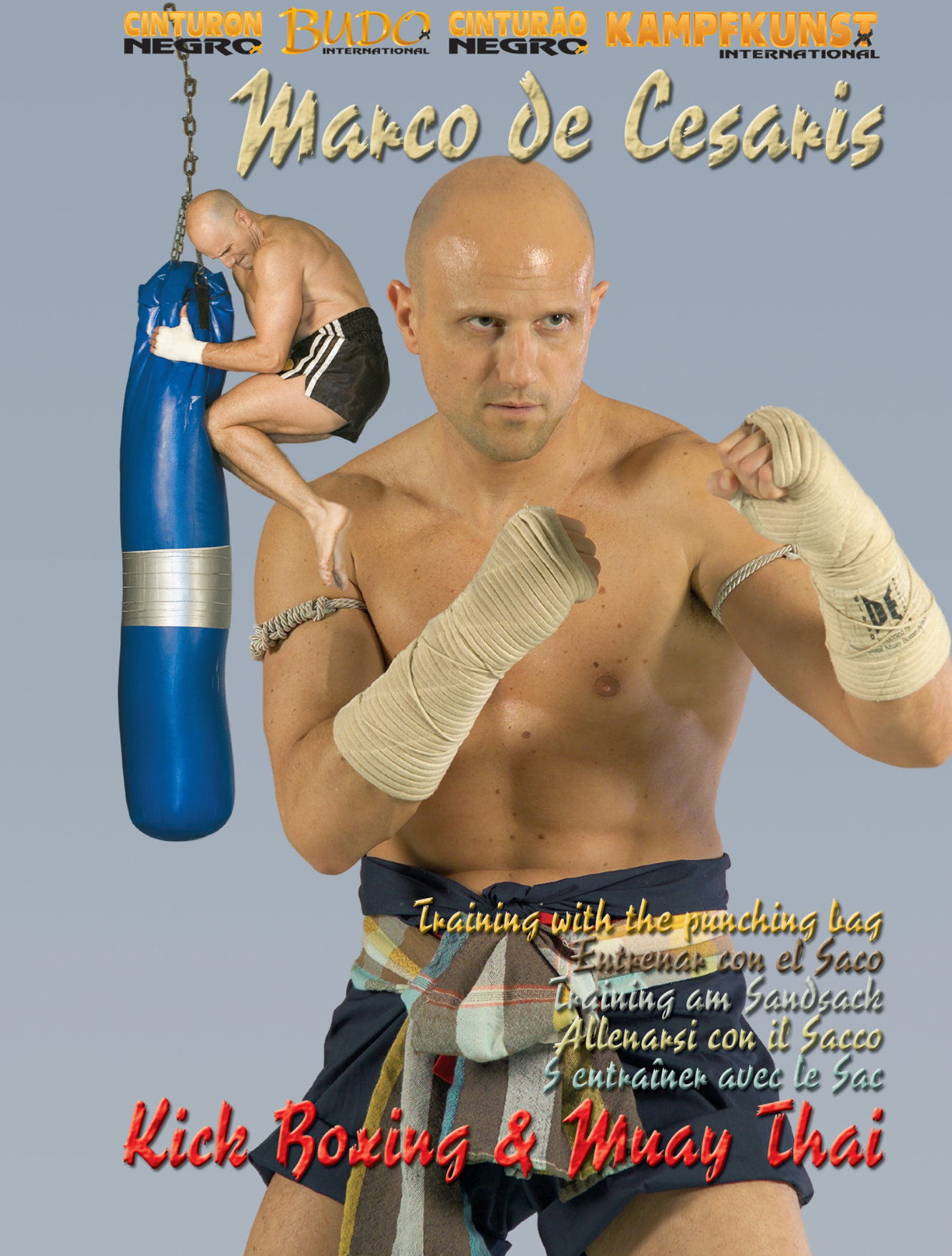 Training with the Punching Bag DVD by Marco De Cesaris