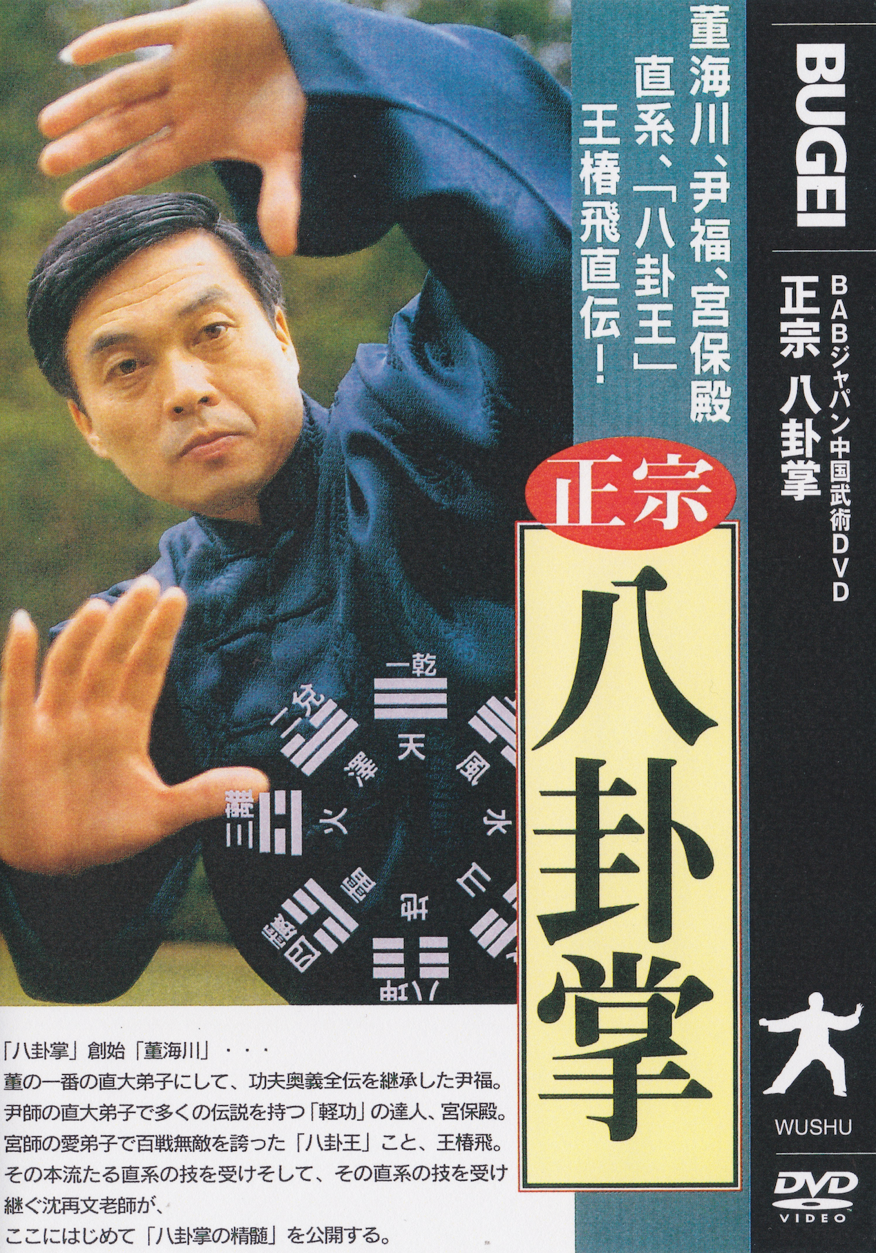 True Baguazhang DVD by Shen Zaiwen
