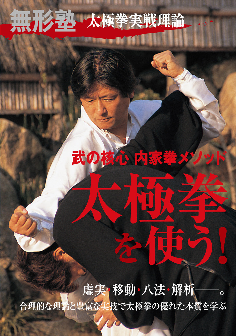 Using Tai Chi DVD by Hideyuki Ikeda