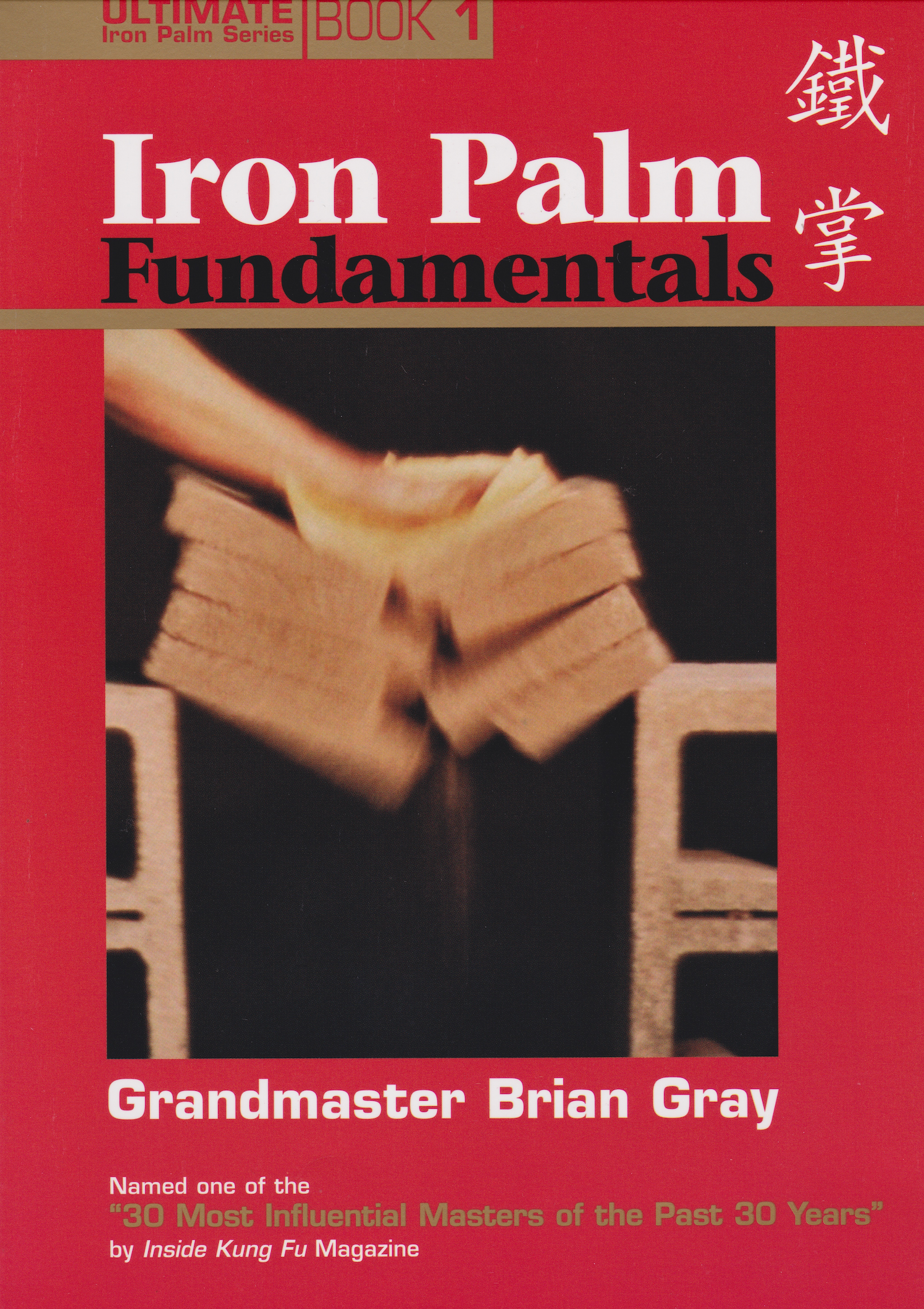 Ultimate Iron Palm Series Book 1: Iron Palm Fundamentals by Brian Gray (Preowned)