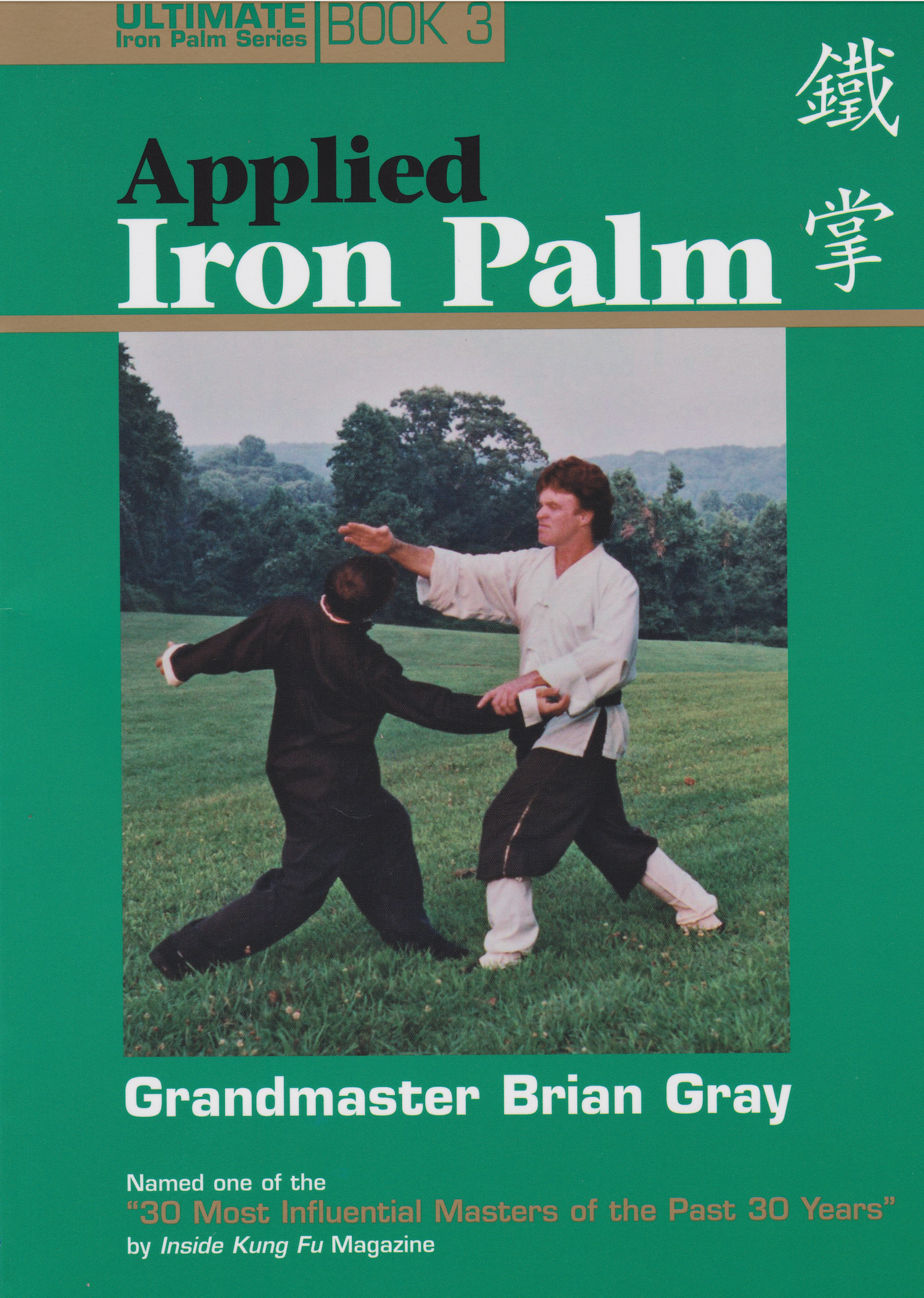 Ultimate Iron Palm Series Book 3: Applied Iron Palm by Brian Gray (Preowned)