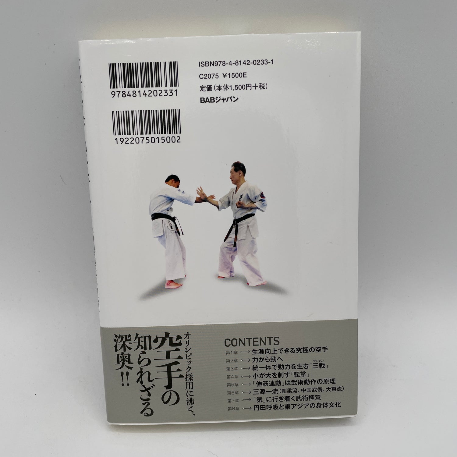 Ultimate True Karate: Final Body Principle from Goju Ryu, Chinese Martial Arts & Daito Ryu Aikijujutsu Book by Yukio Nishida
