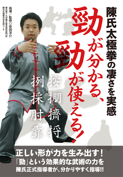 Understanding Jin, Using Jin DVD by Yosuke Yasuda