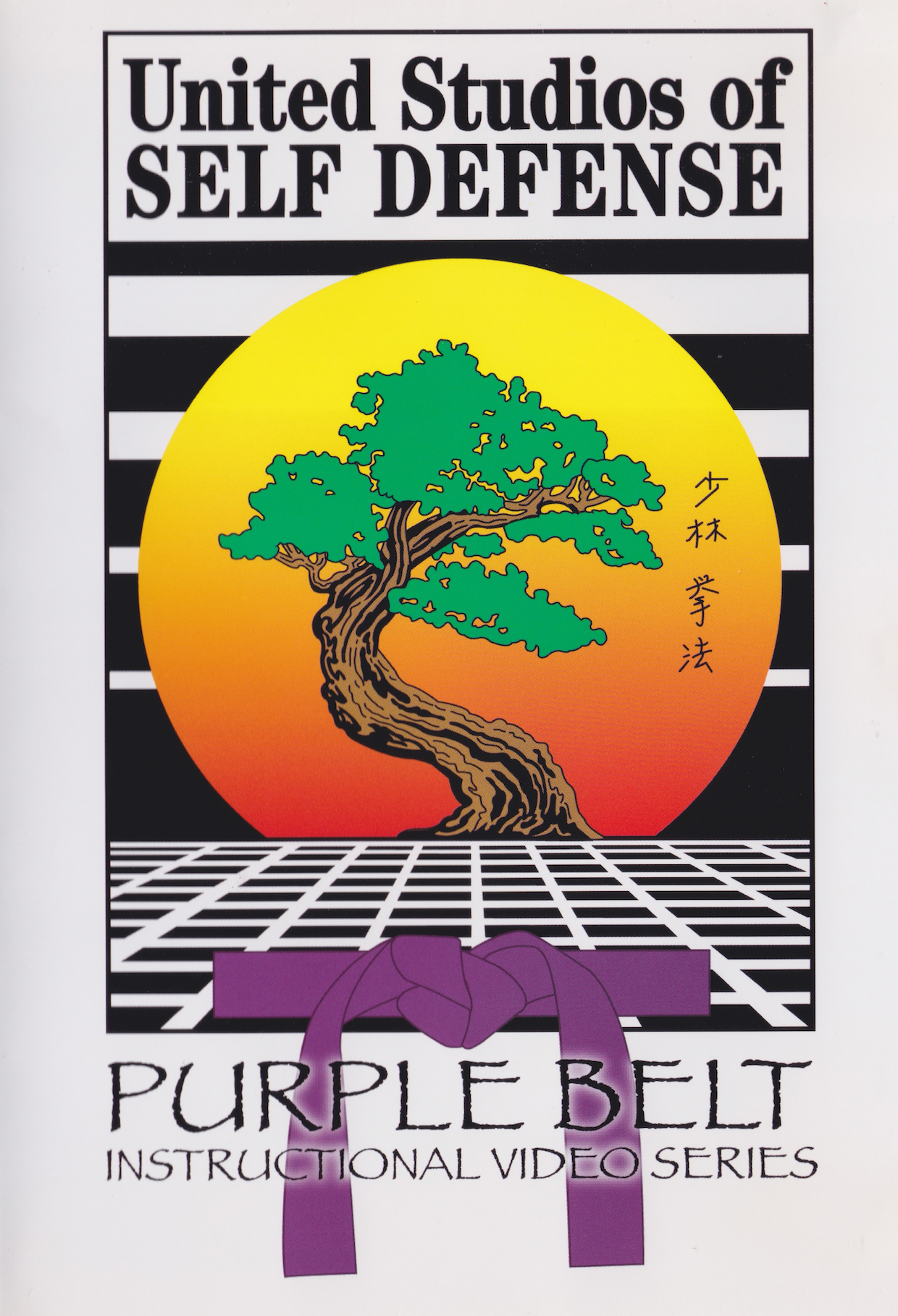 United Studios of Self Defense Purple Belt DVD by Charles Mattera (Preowned)